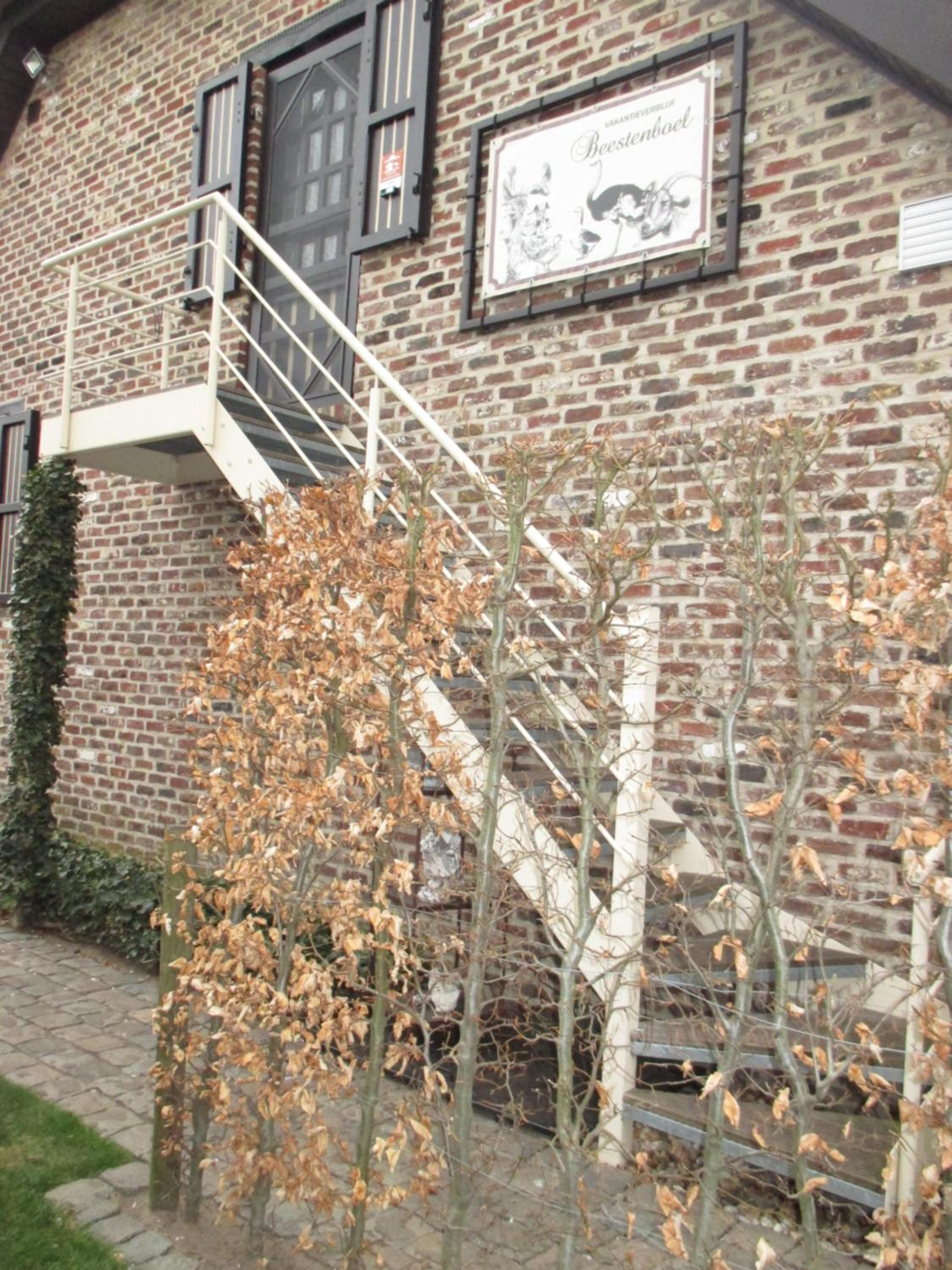 Vakantieverblijf-Beestenboel view 2