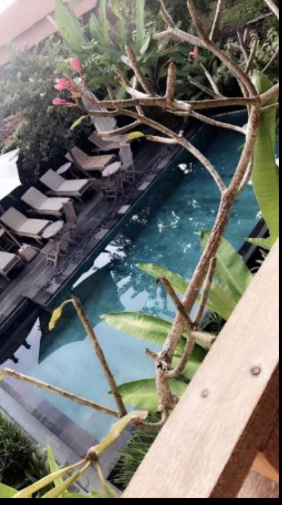 Kailash Bali