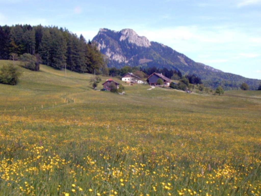 Leitingerhof