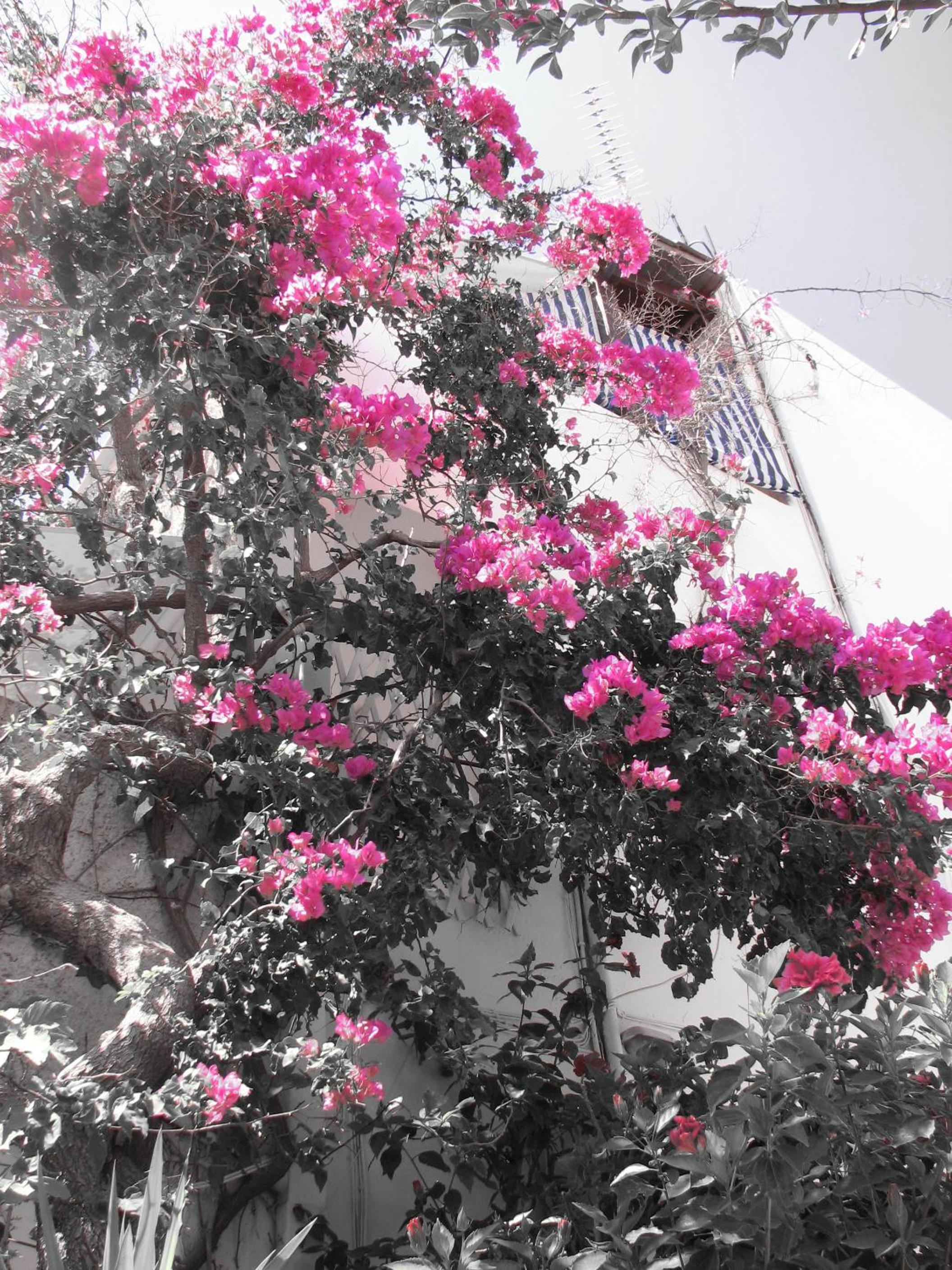 Hotel Gio-Ma - Image 1