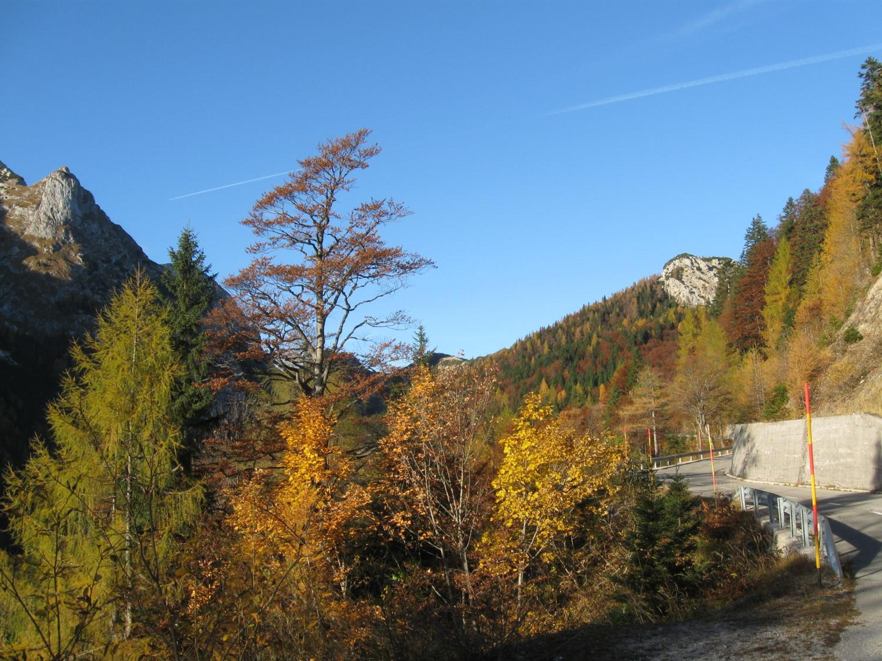 Photo 30