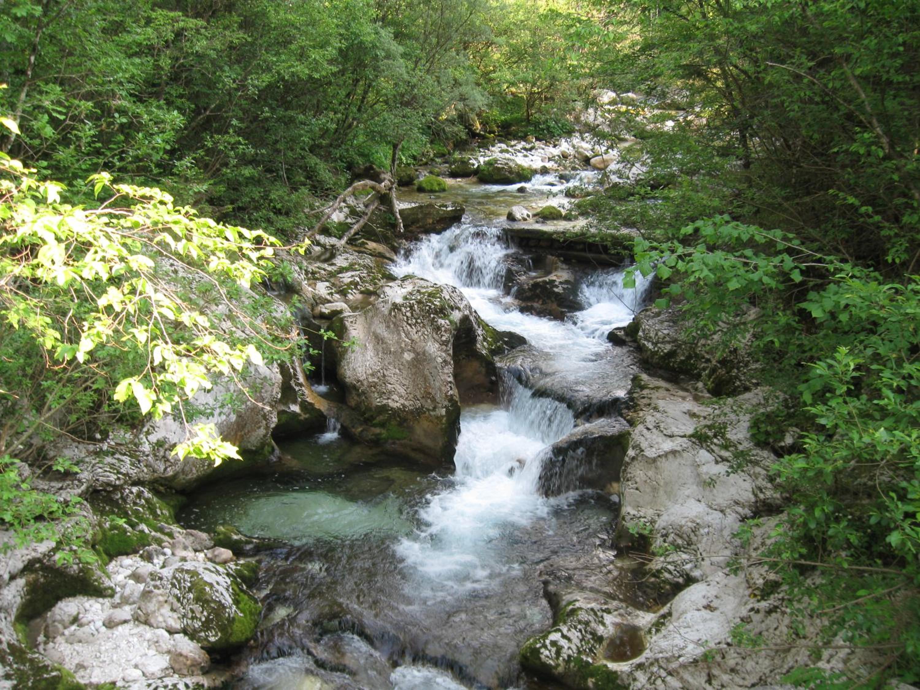 Photo 34