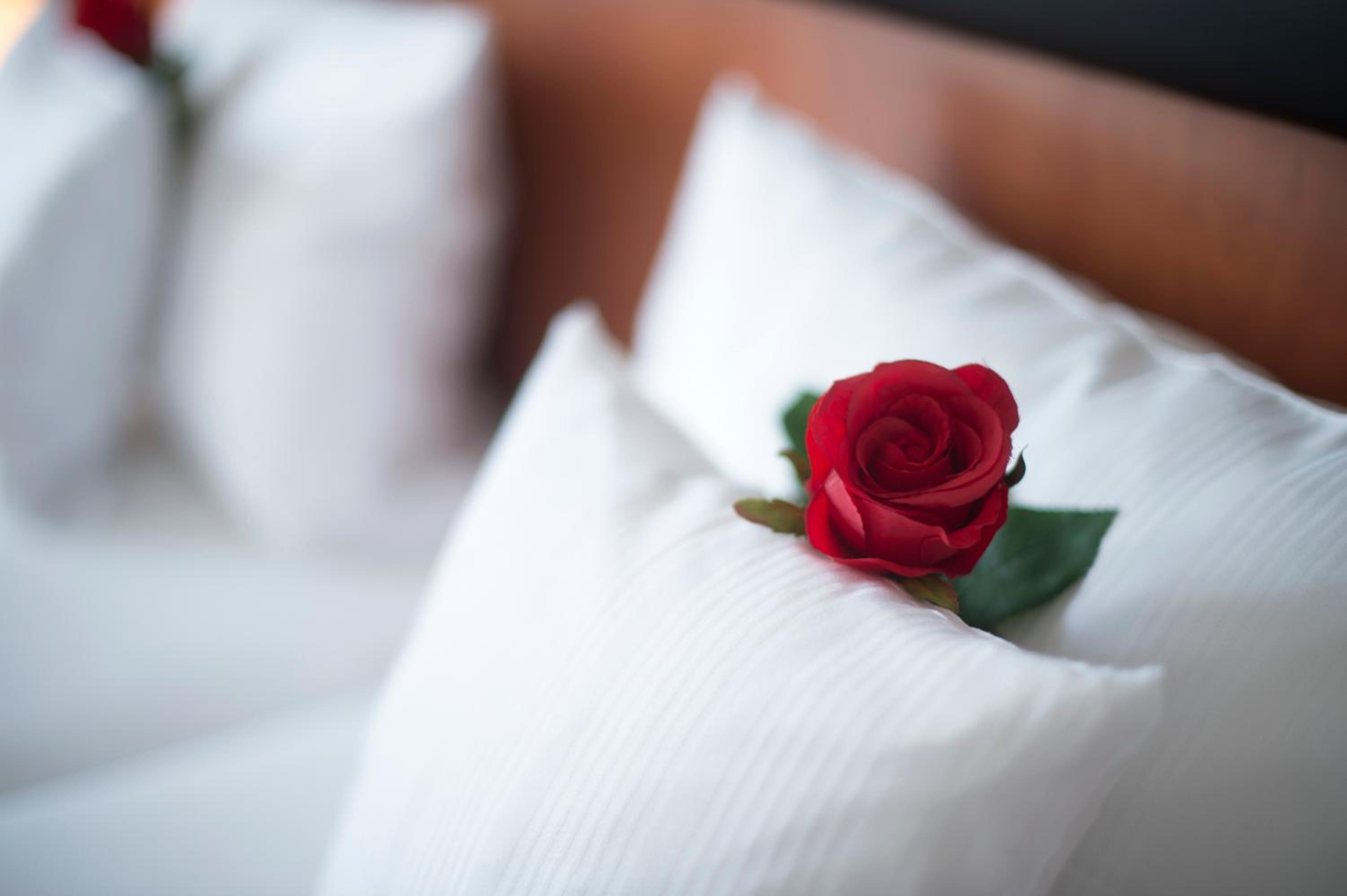 vevio - Hotel & Events