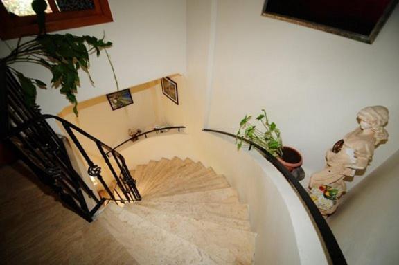 Photo 36
