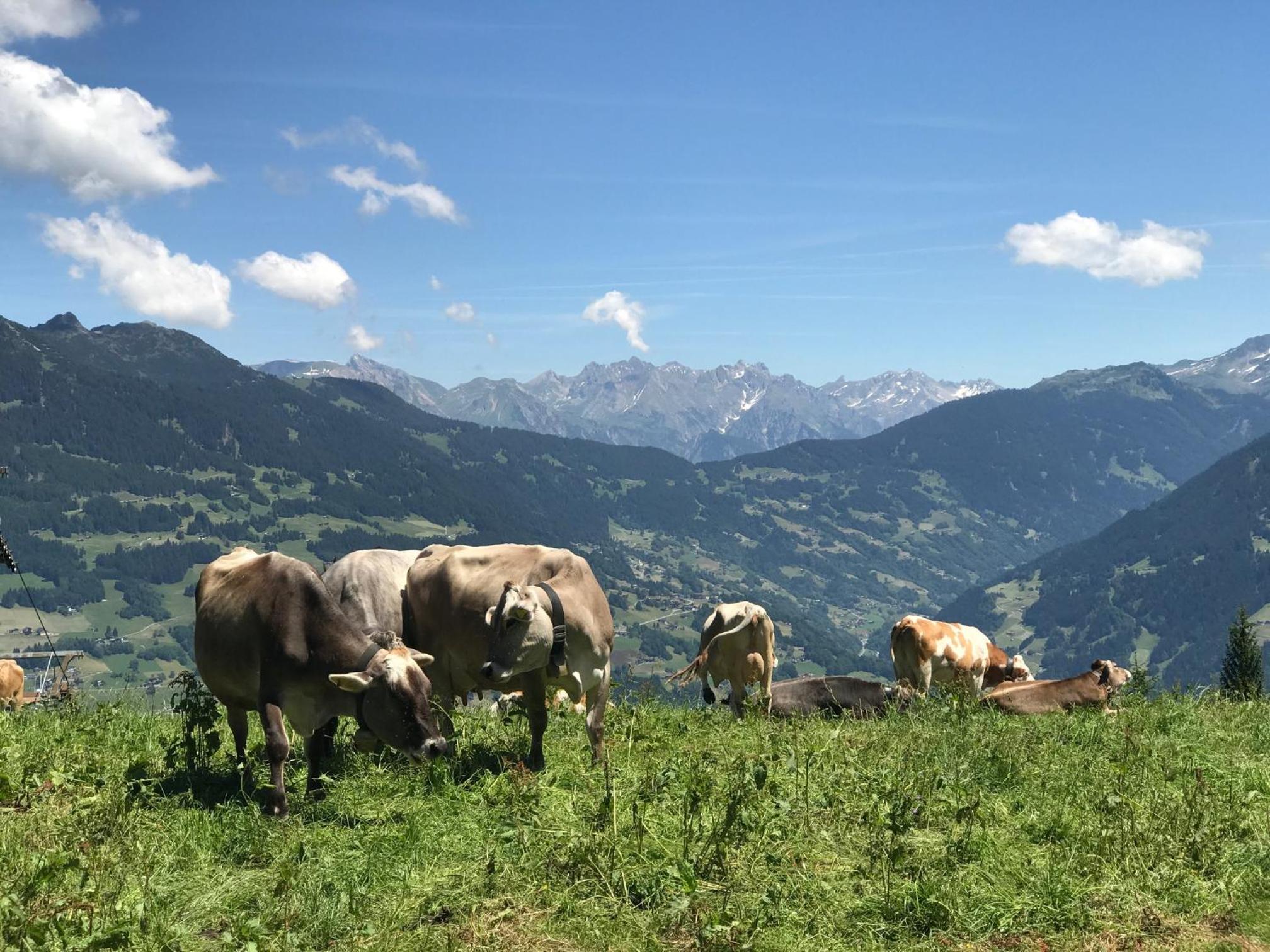 Appartements Ausblick