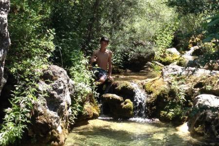 Photo 11