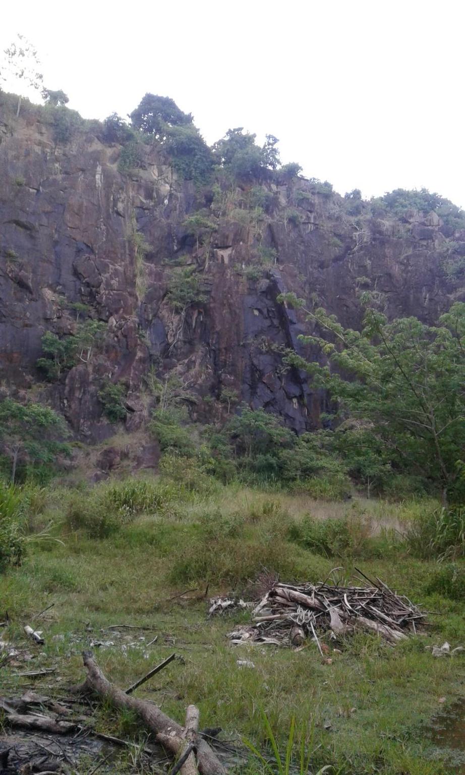 Photo 42