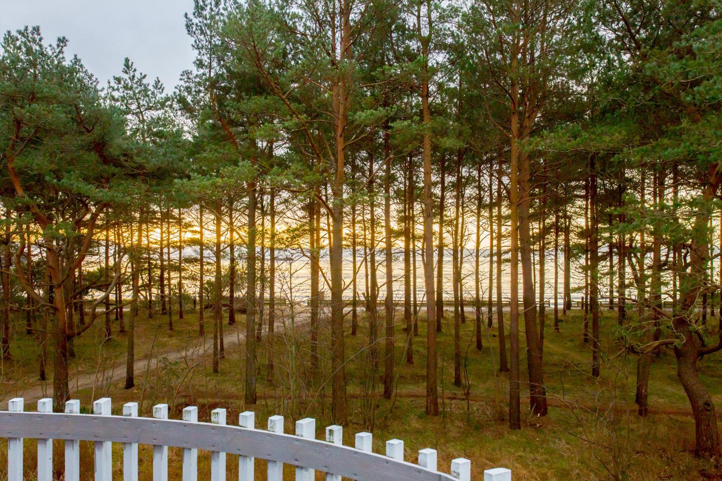 Sjøsanden Ferietun view 2