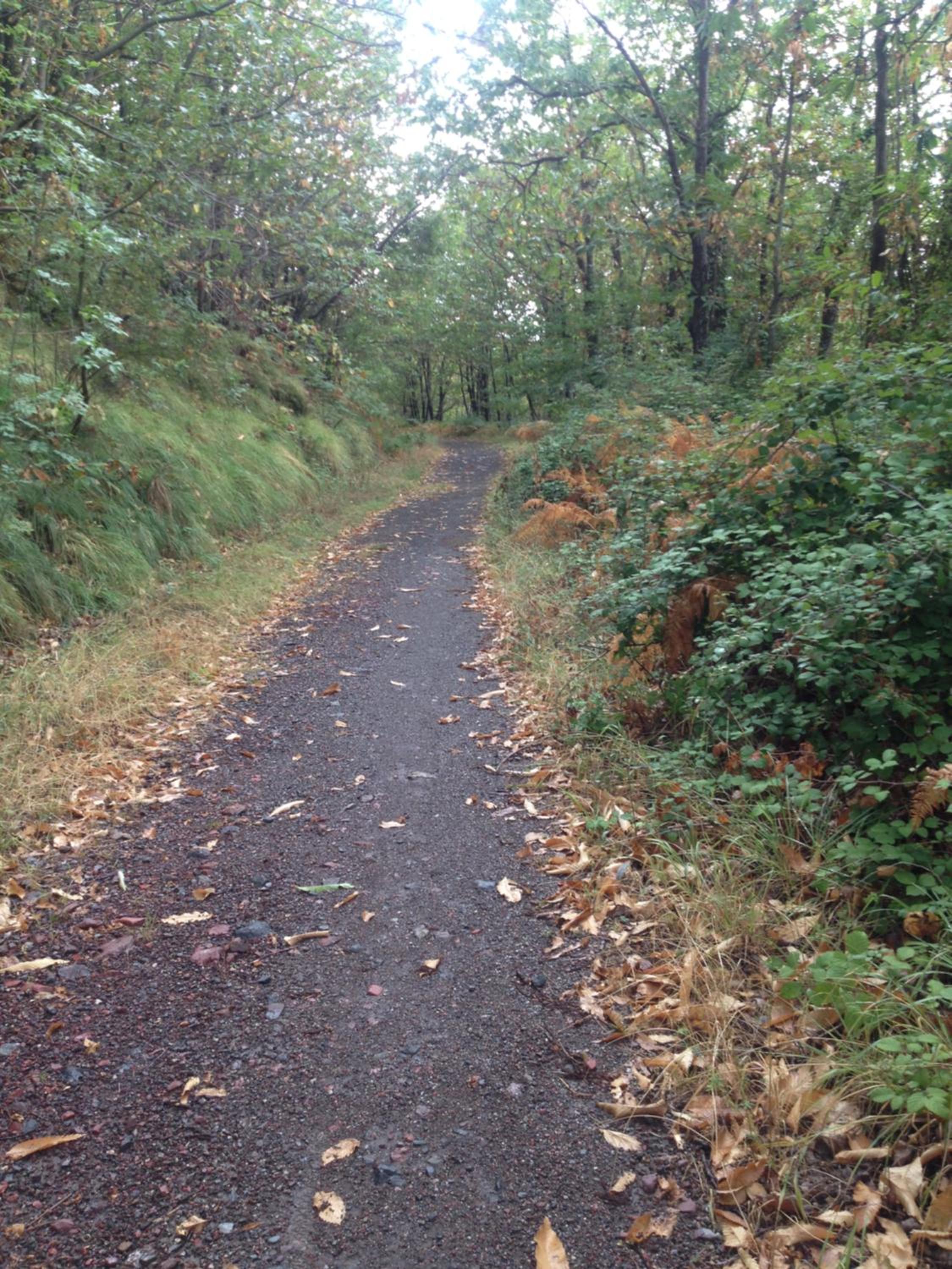 Photo 40