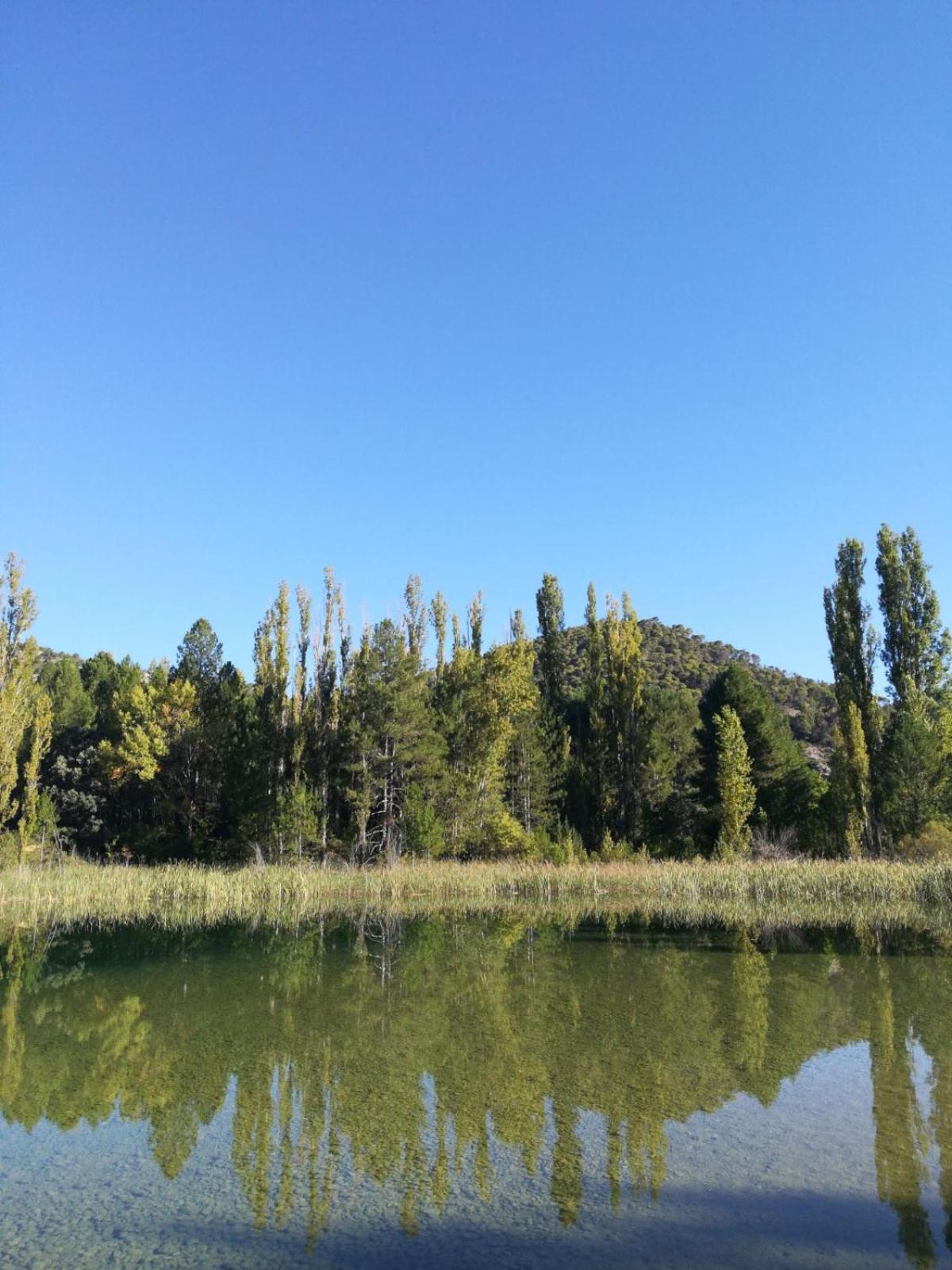Photo 37