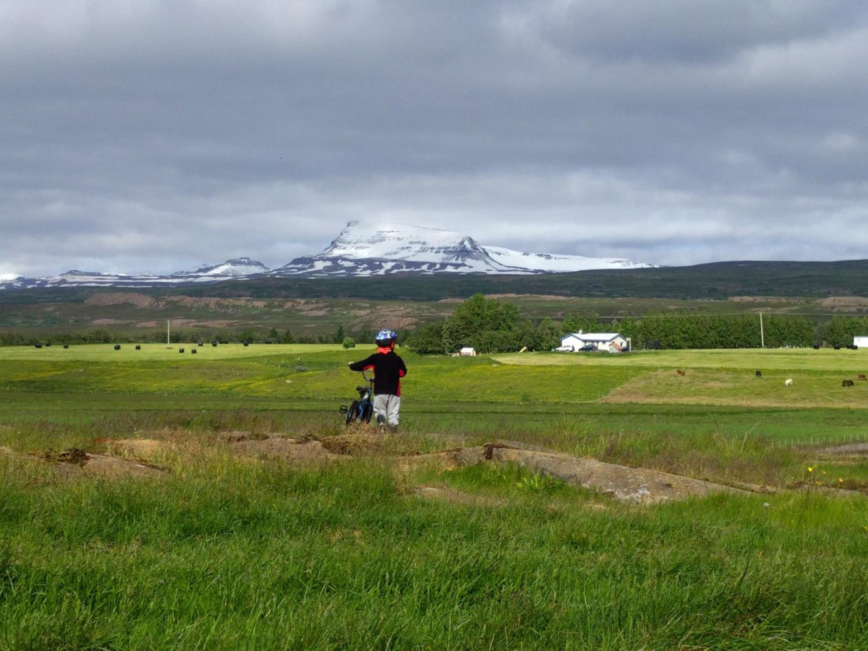 Hjartarstaðir Guesthouse
