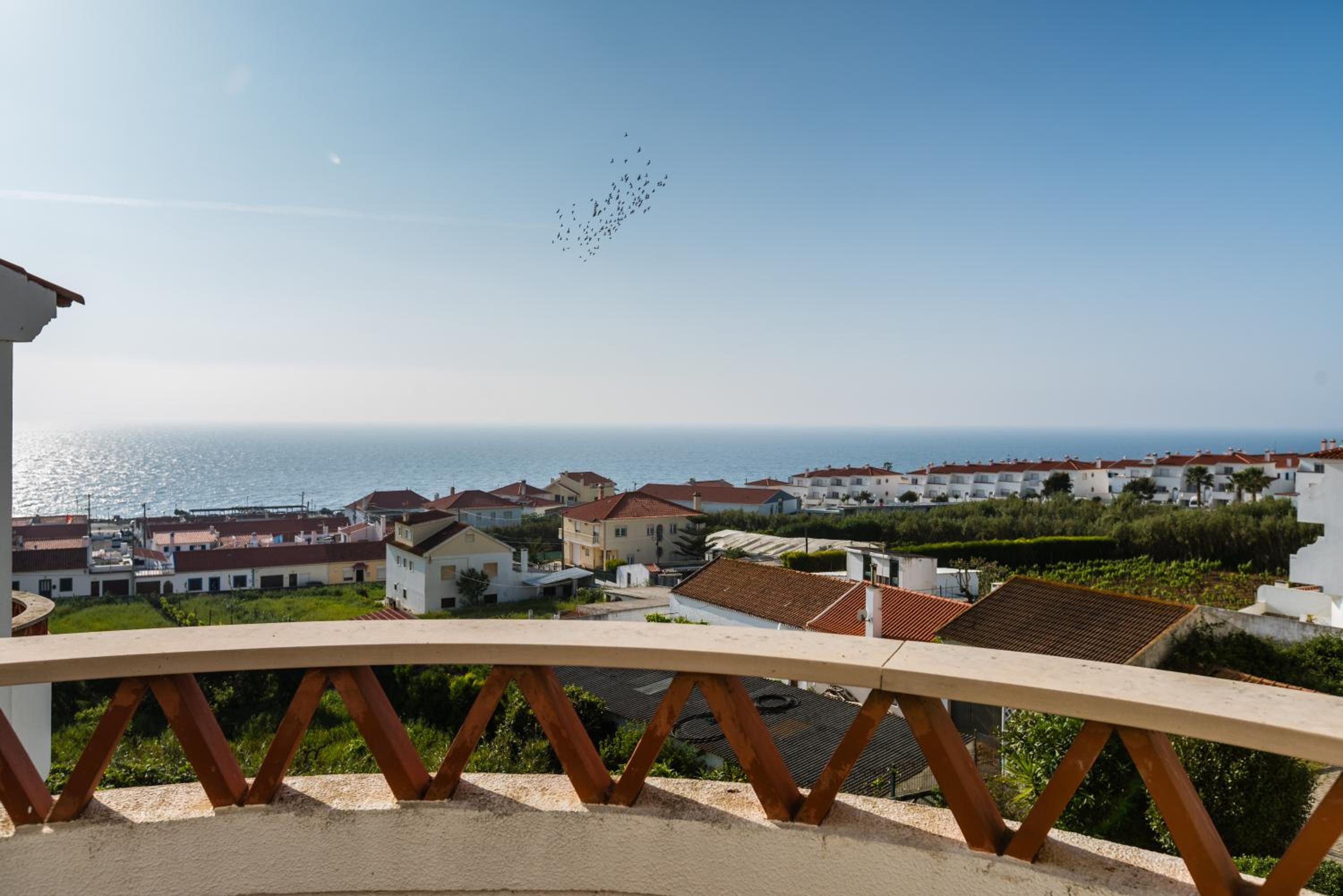 Casa das Conchas view 2