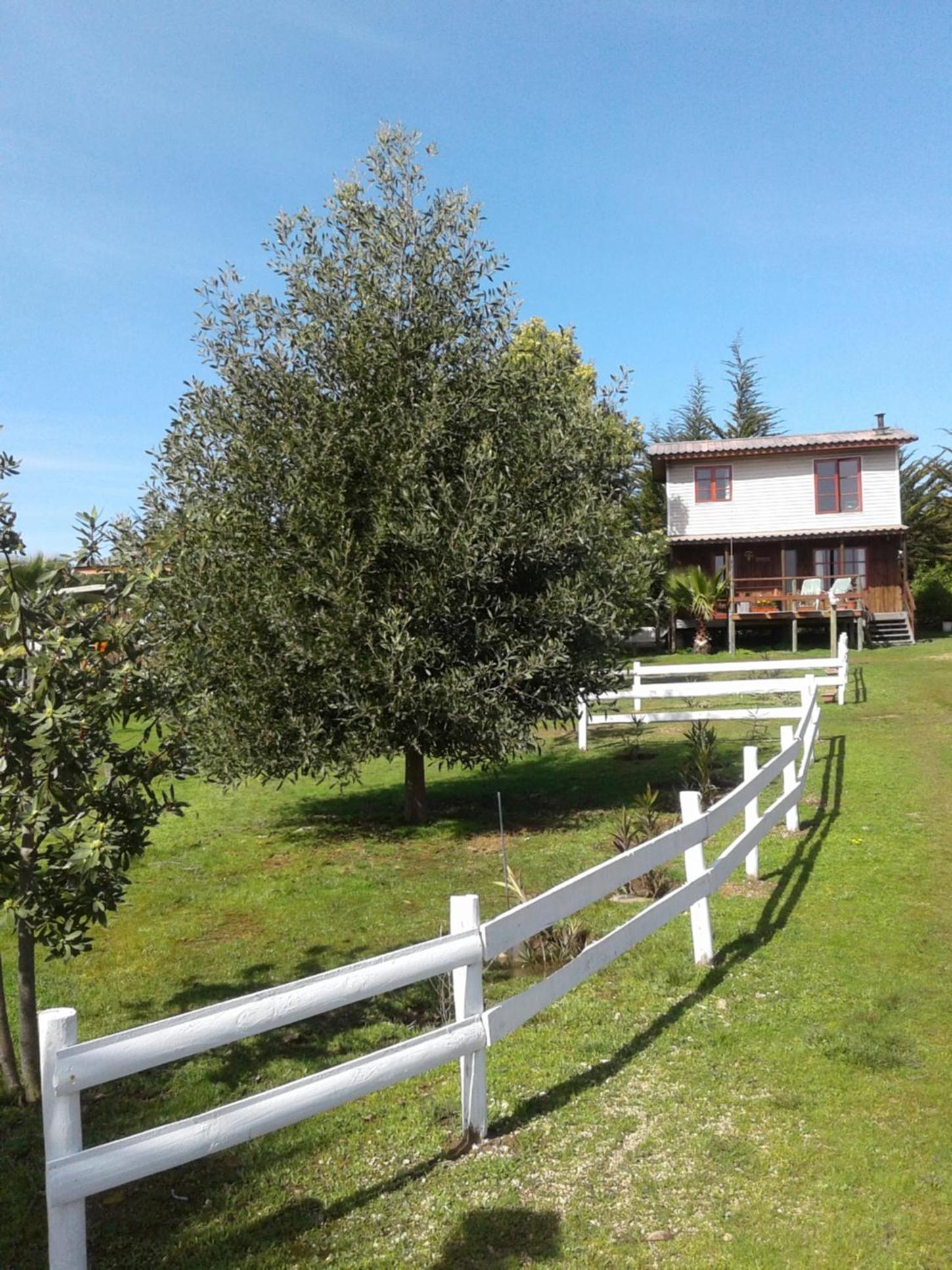 La Querencia de Algarrobo
