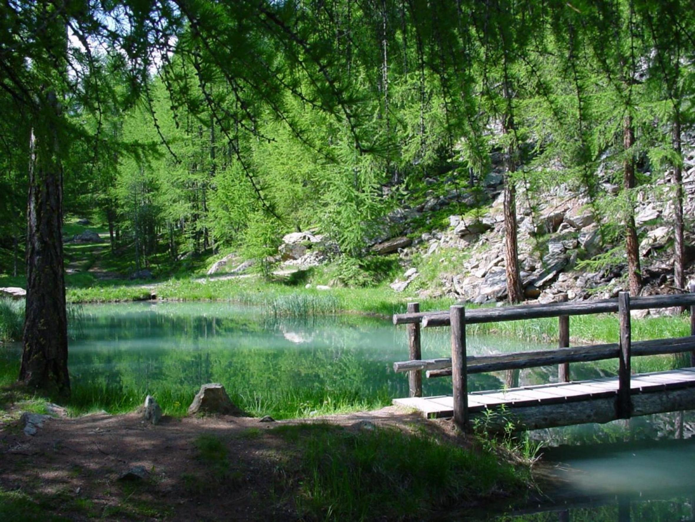 Photo 23