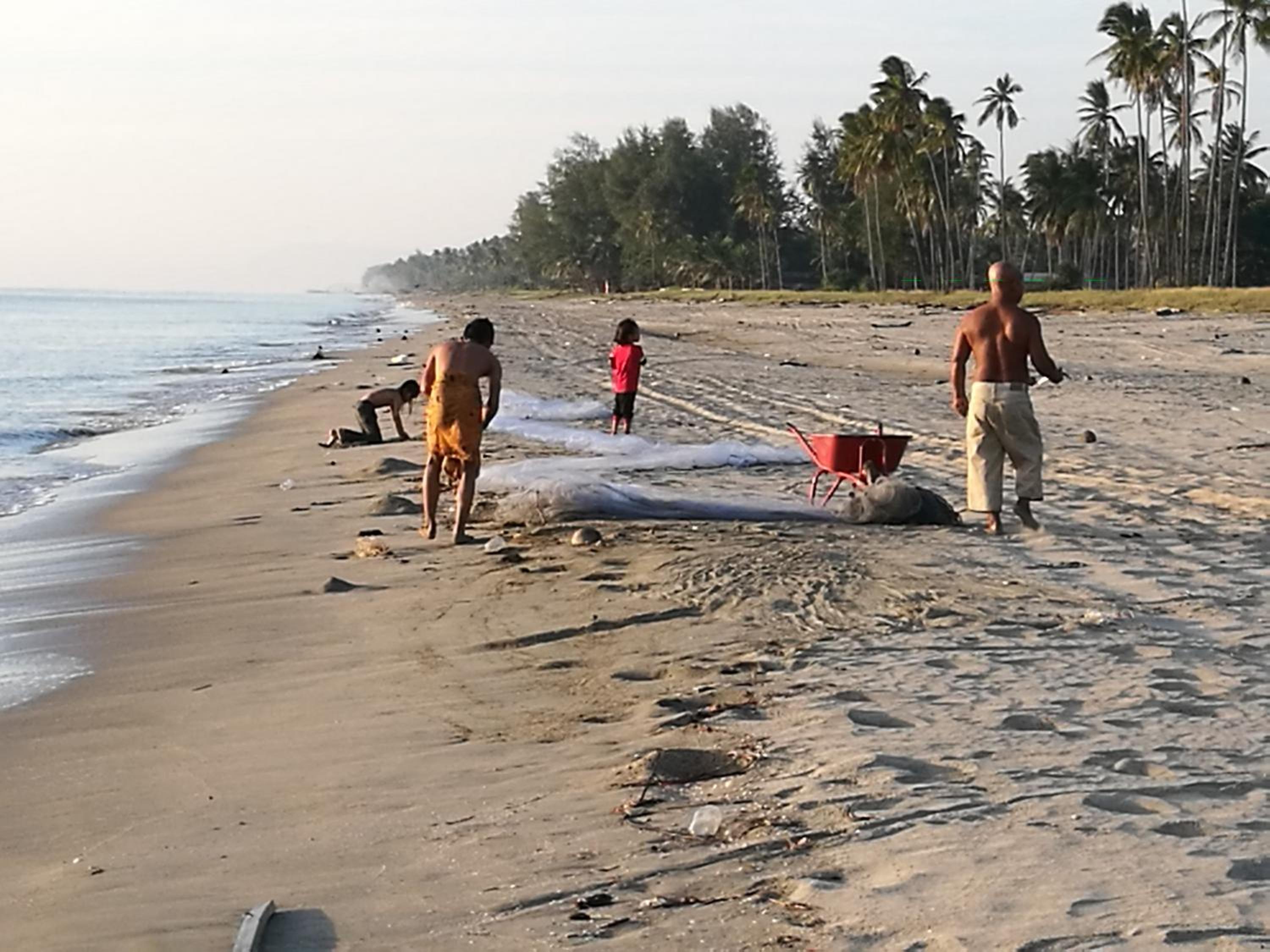 ALA Beach Lodge - Markisa Homestay photo 4
