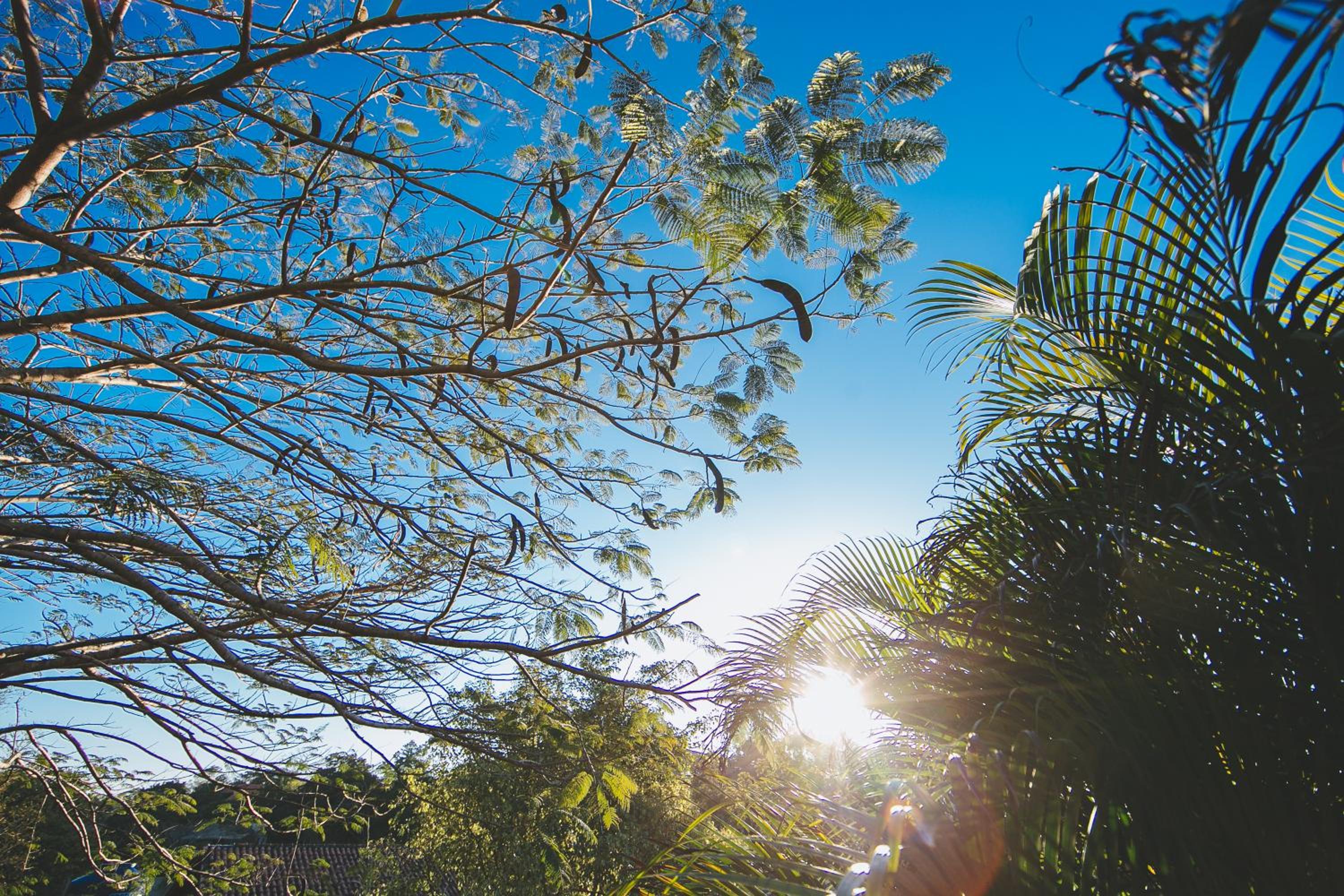 Pousada Villa Seychelles