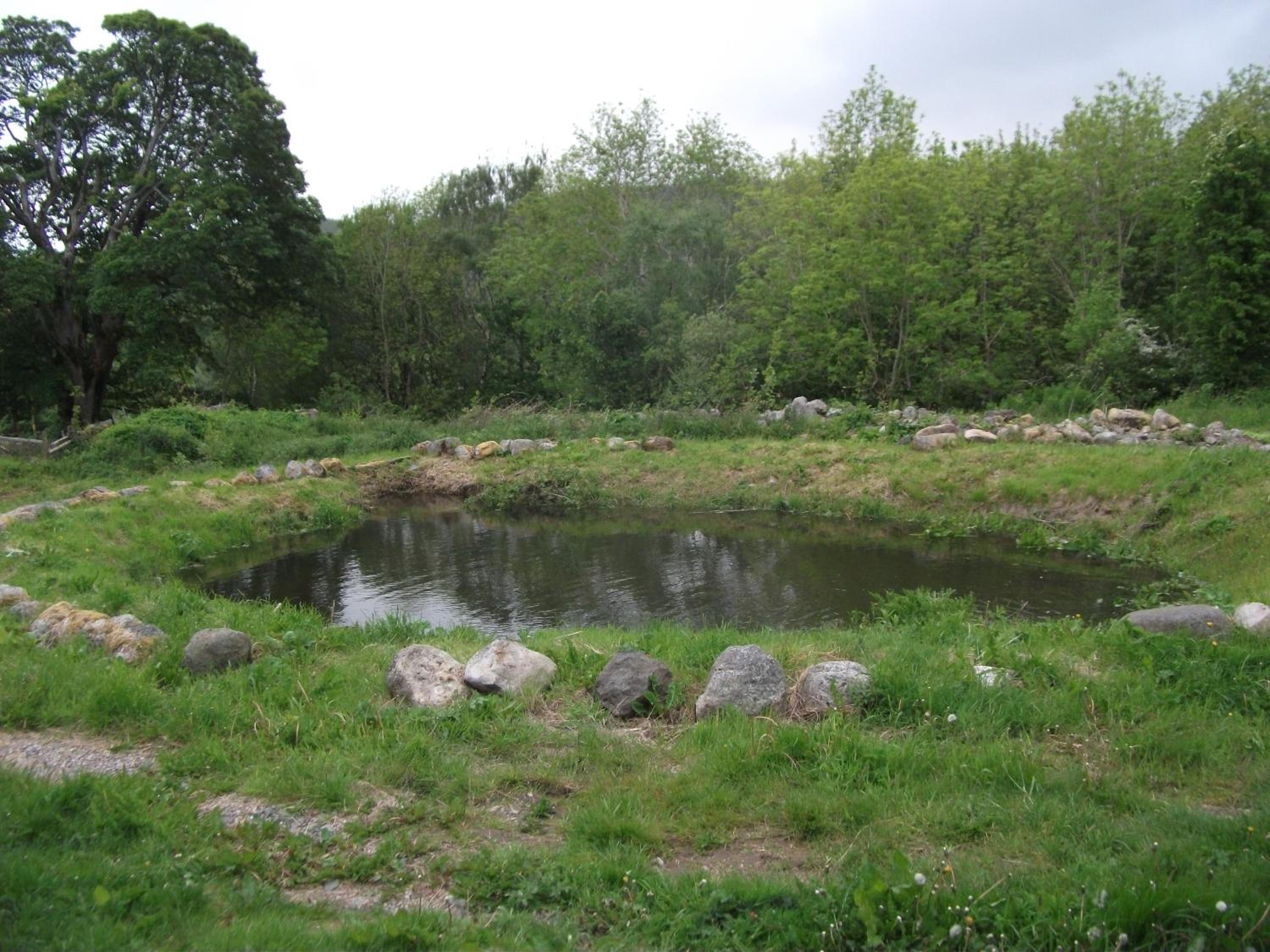 Photo 13