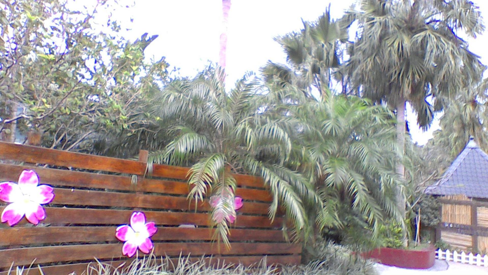 In Bali Inn