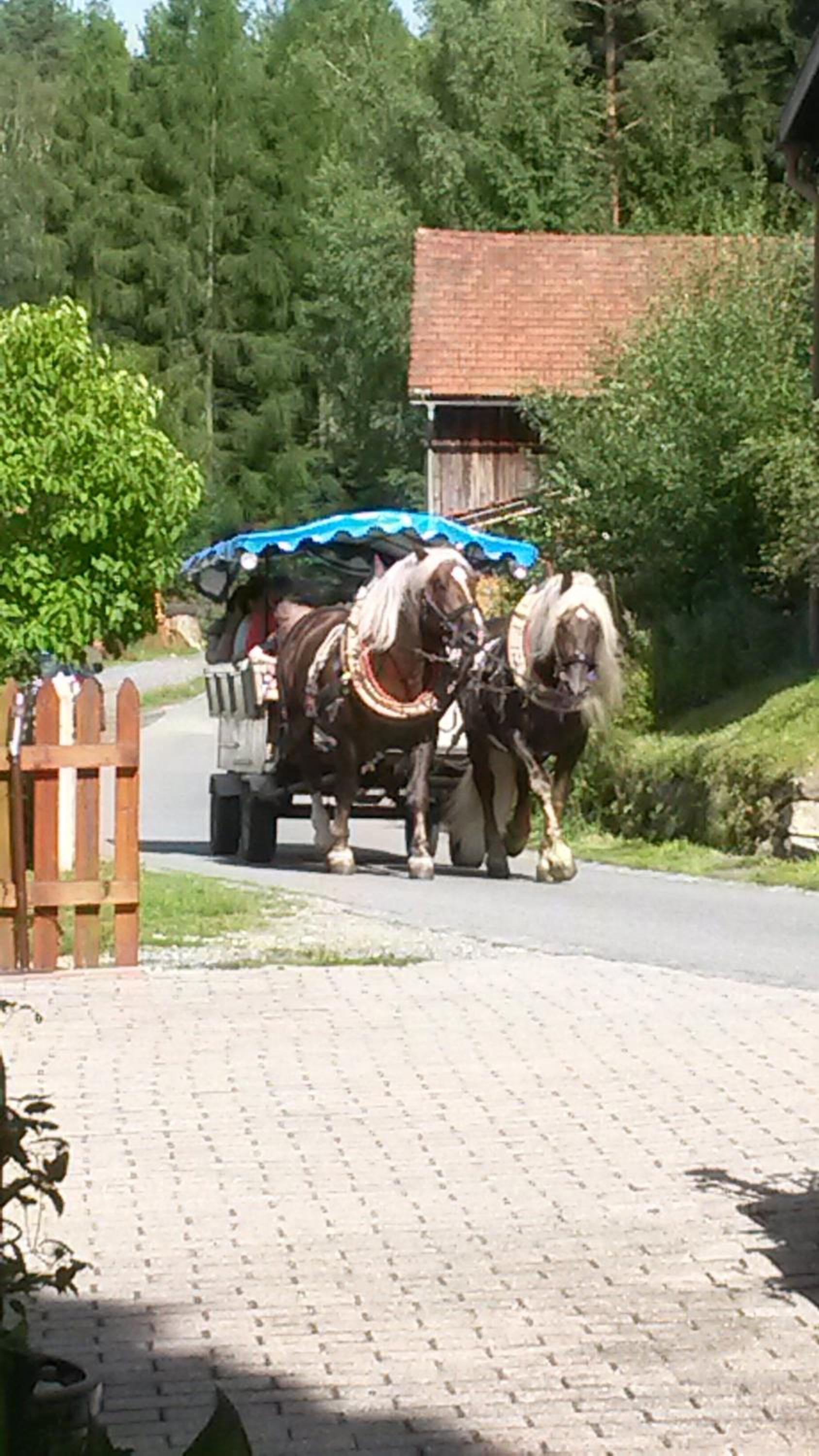 Ferienwohnung Steinbeisser
