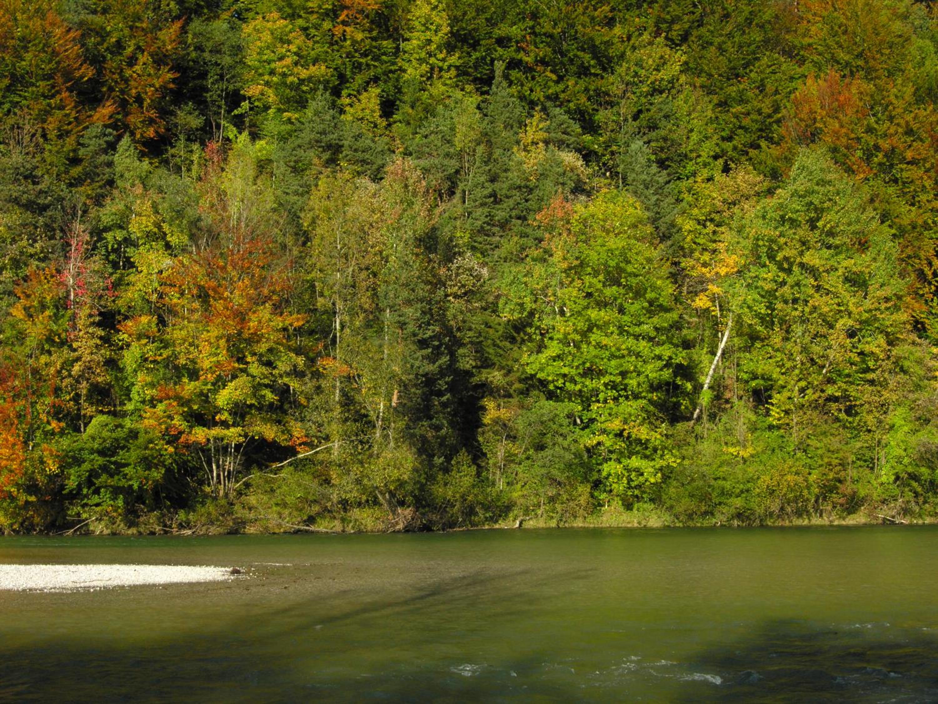 Photo 40