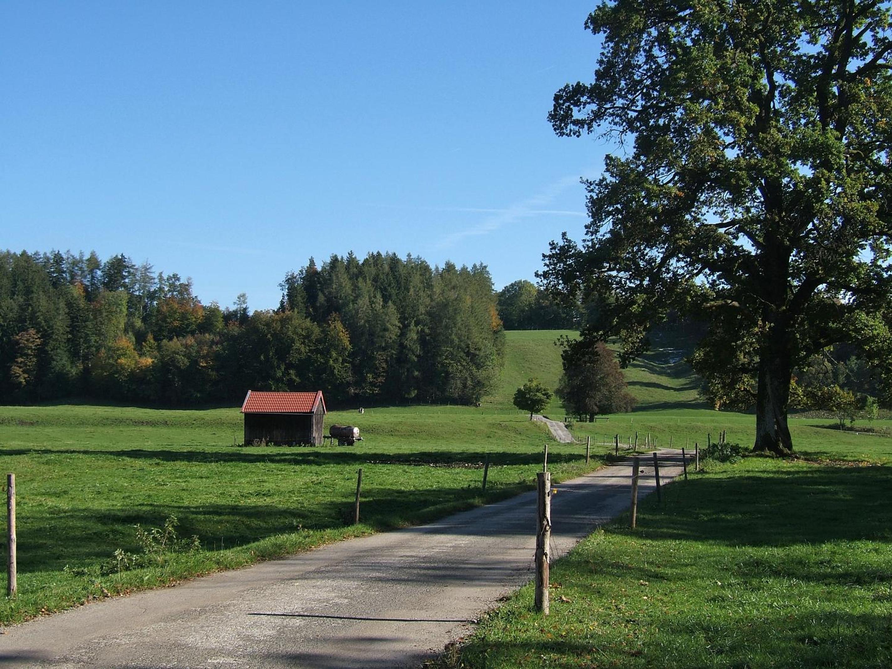 Photo 33