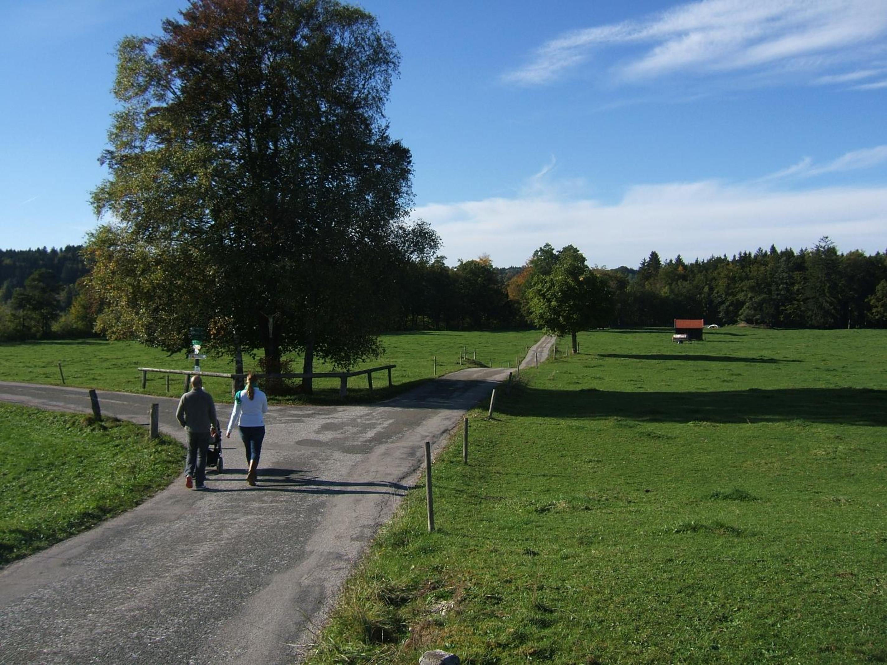Photo 32