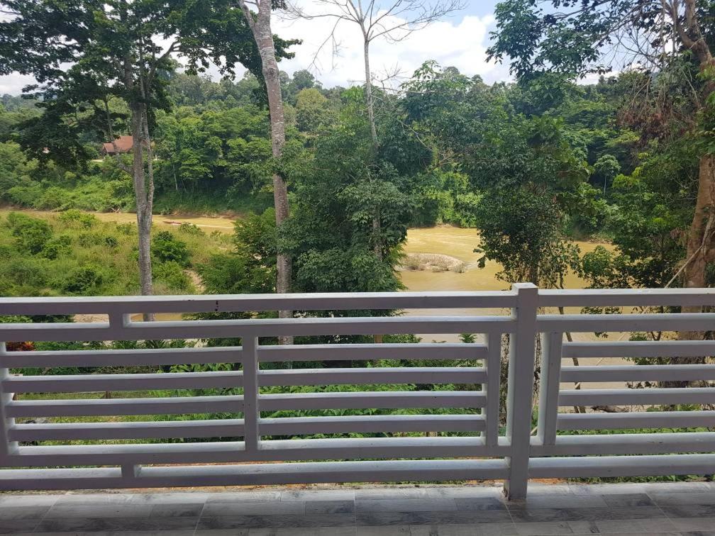 Taman Negara River View Lodge
