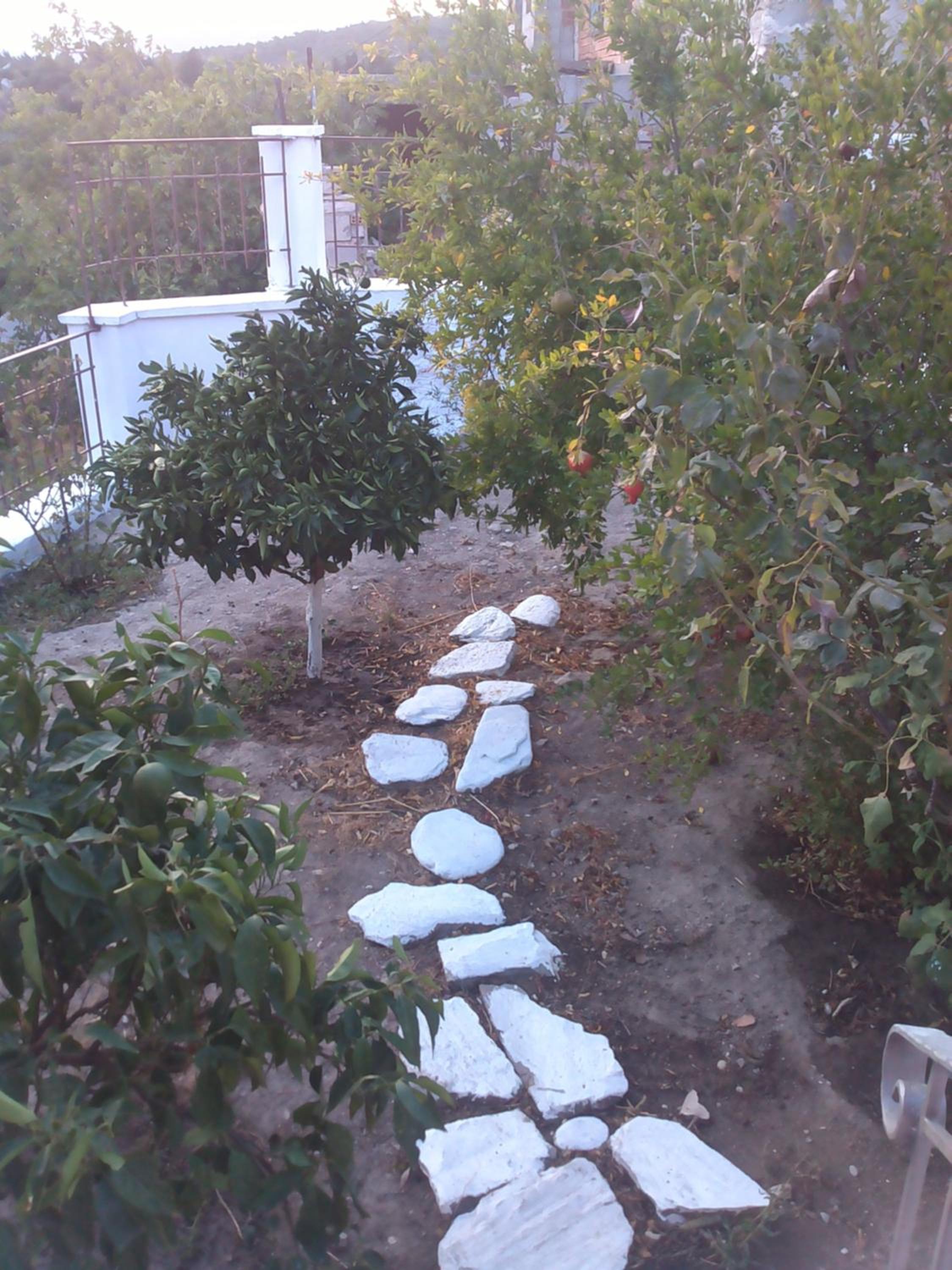 Photo 7