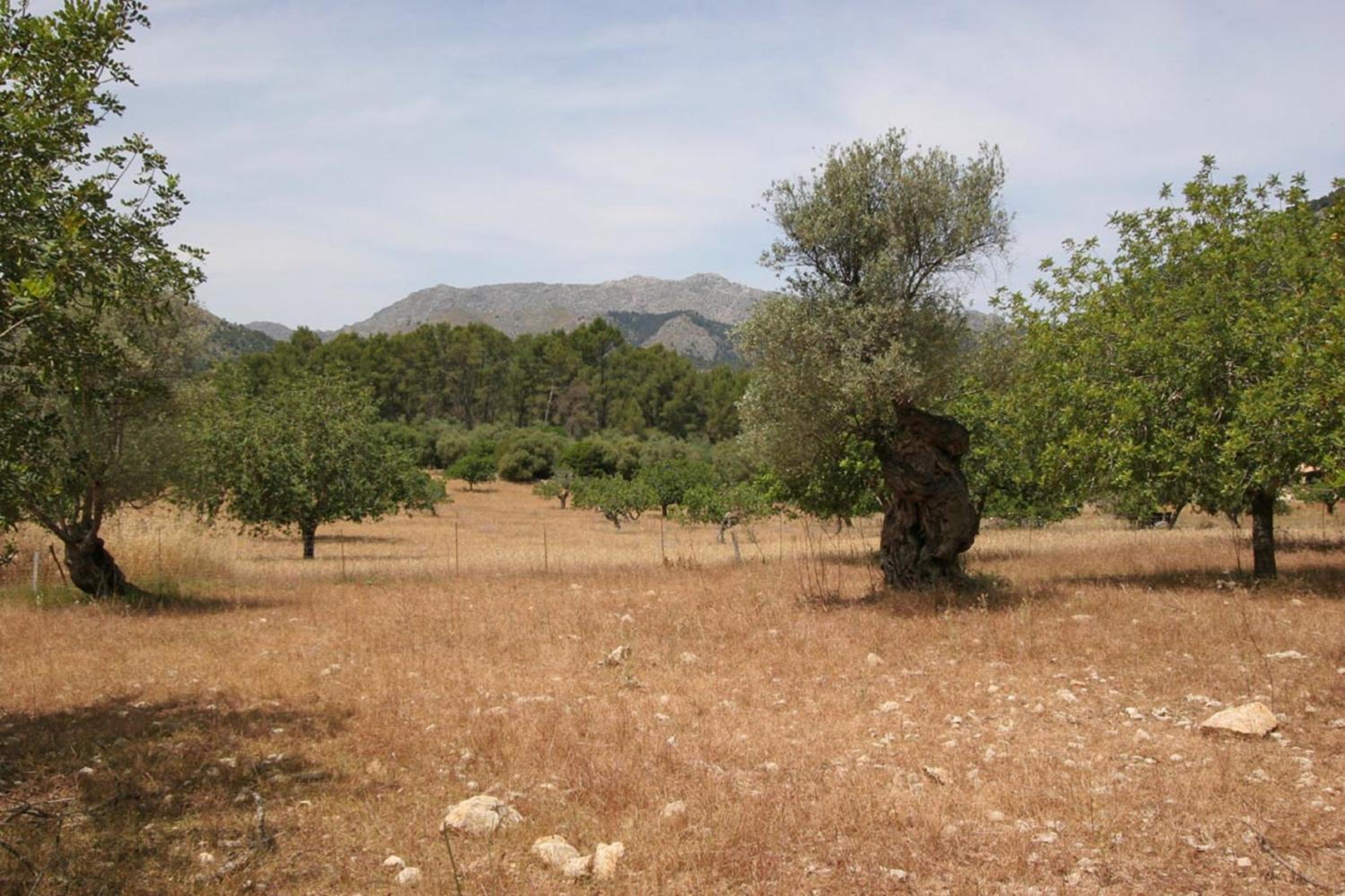 Villa Guillo view 4