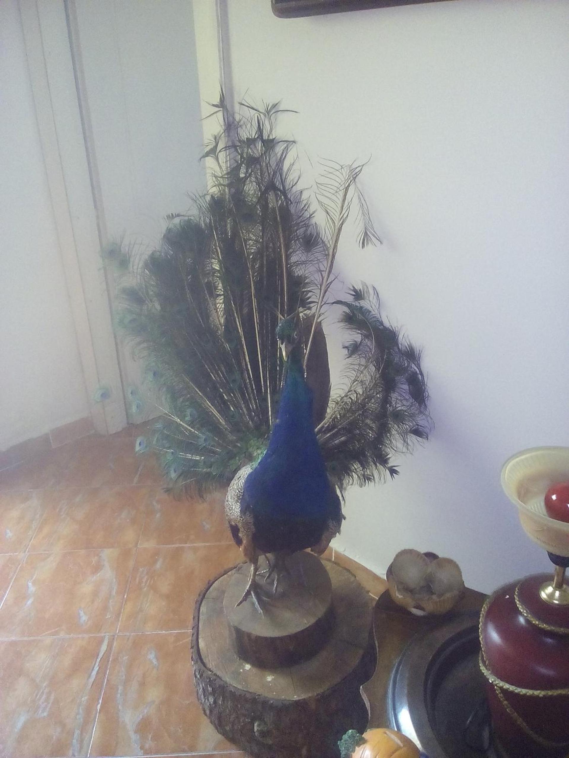 Karafil Guesthouse