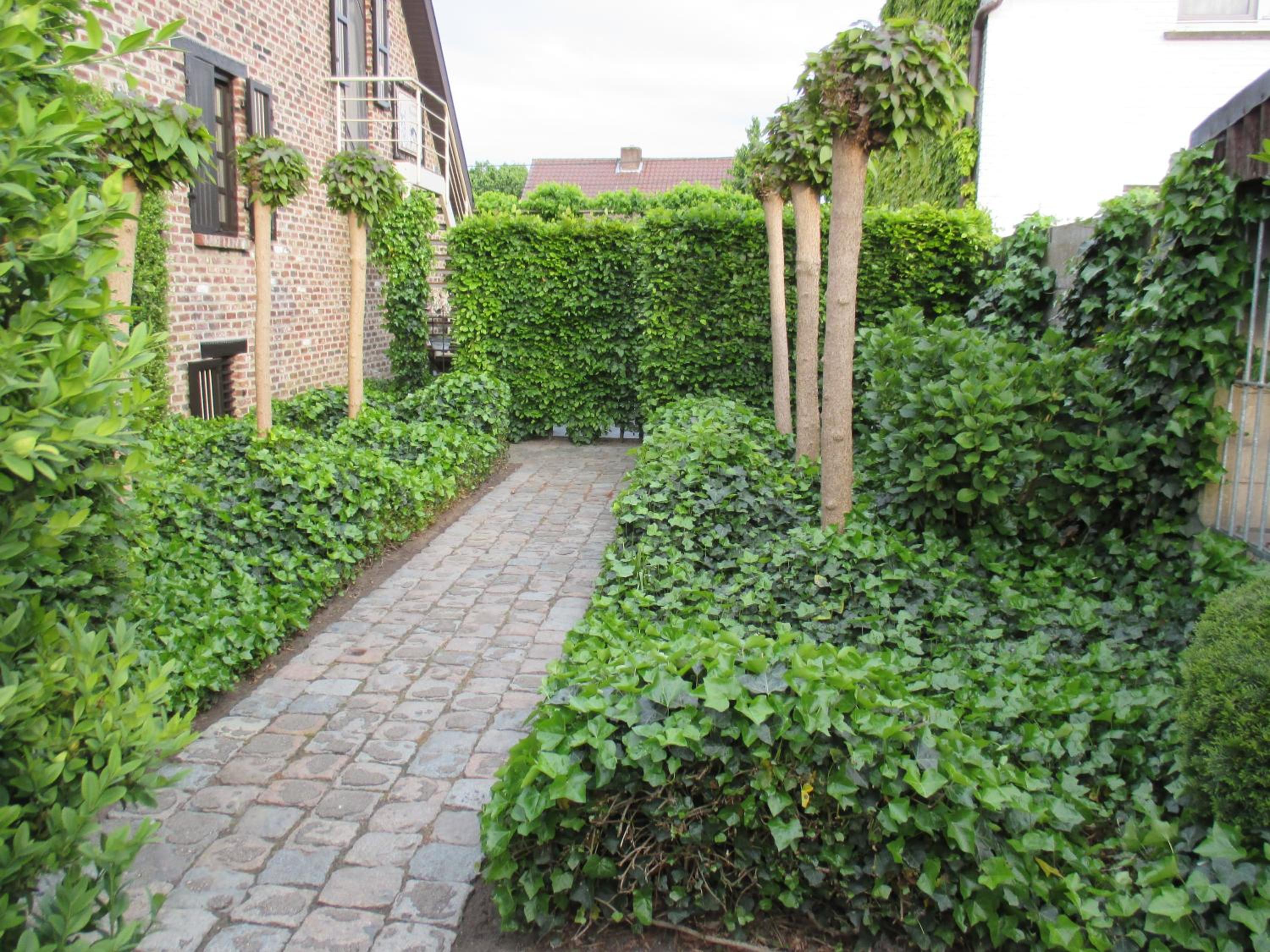 Photo 26