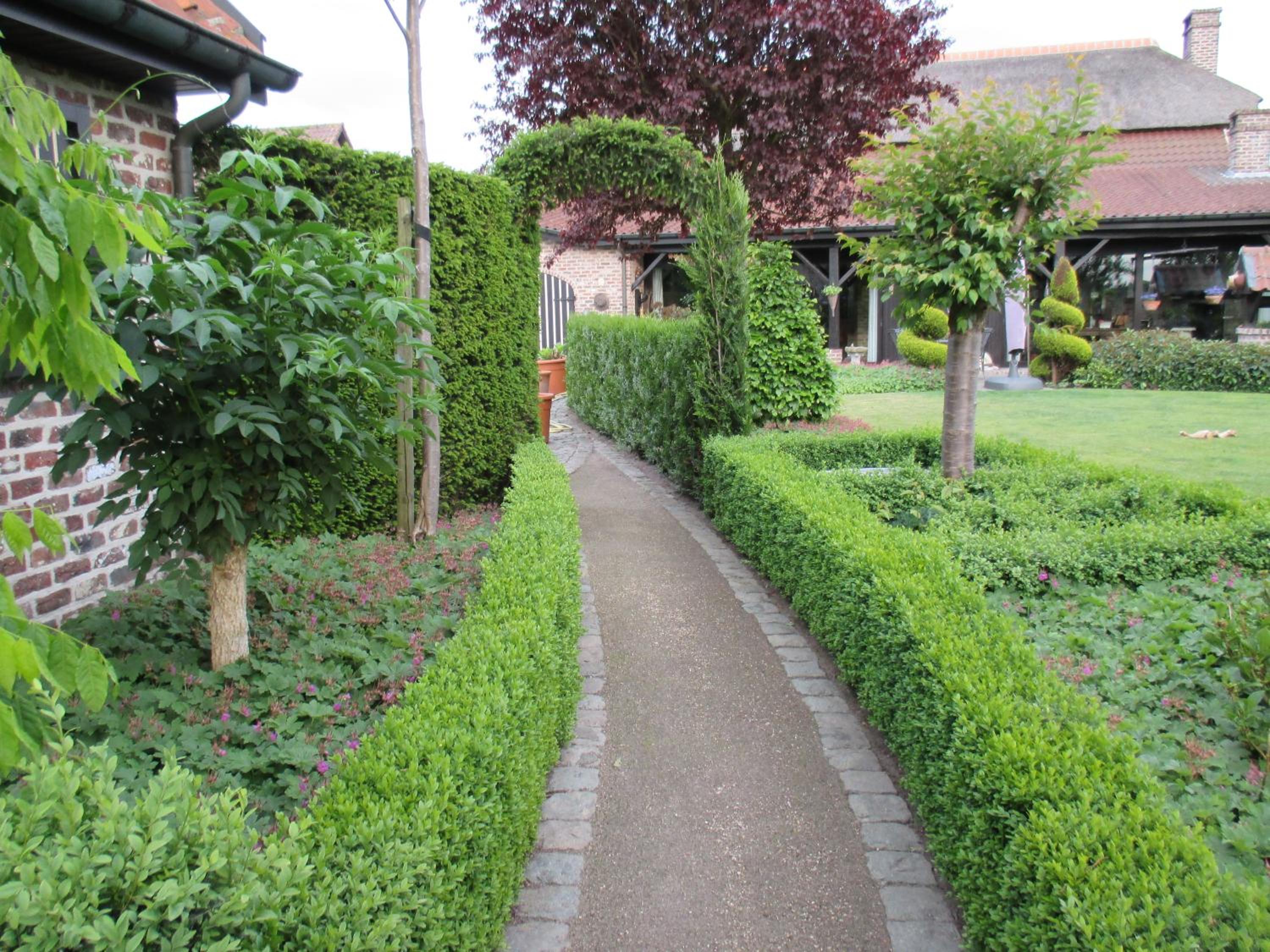 Photo 27