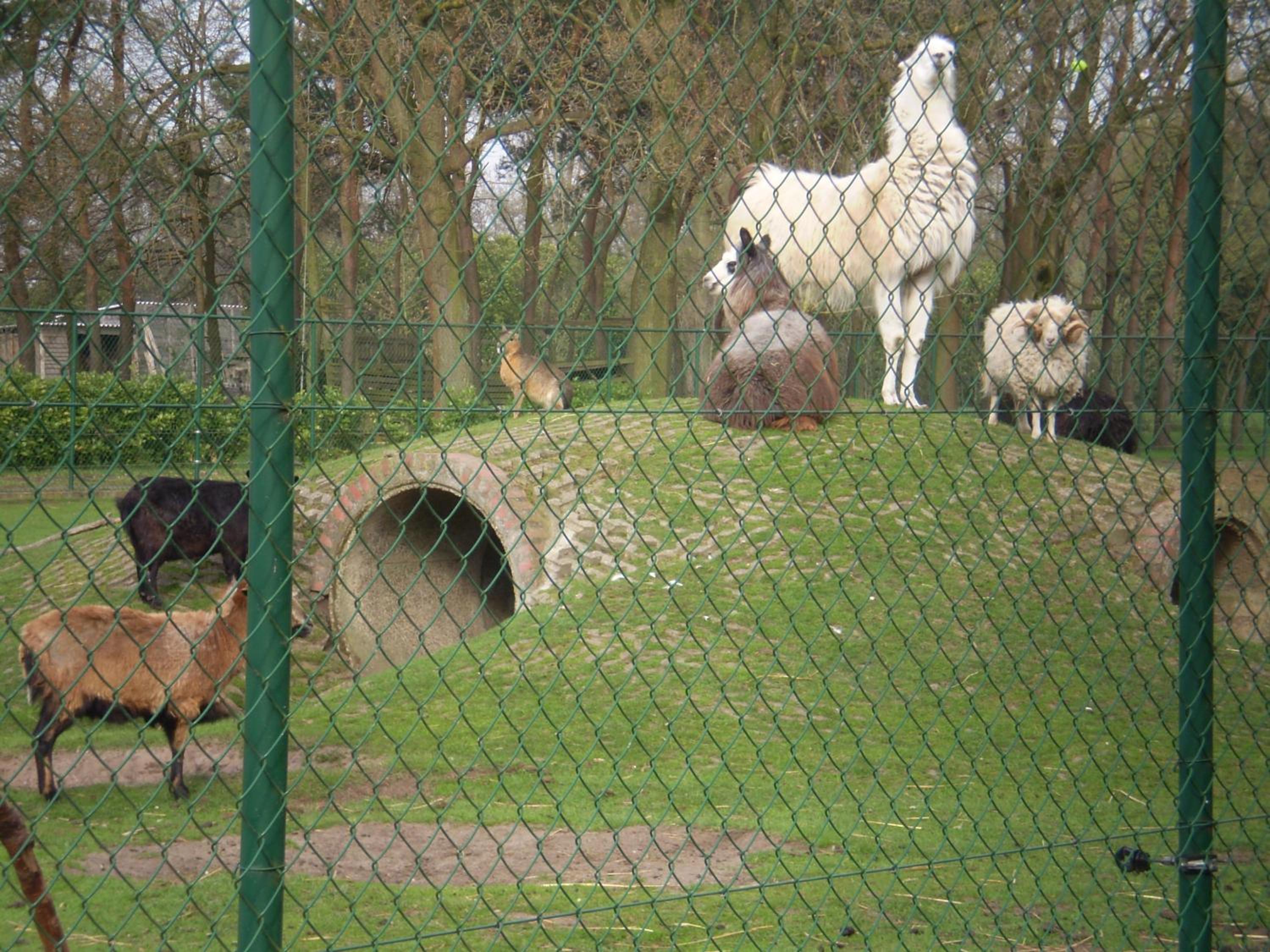 Photo 34