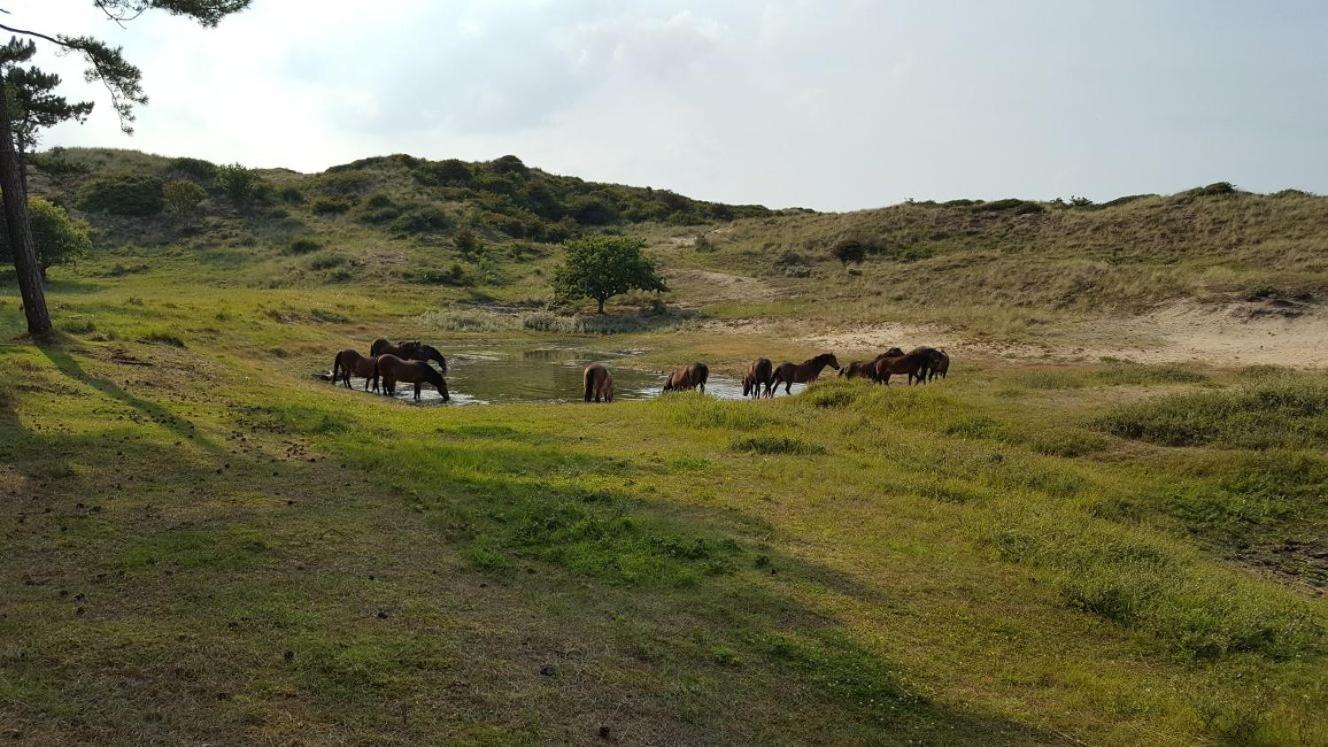 Vrijstaande blokhut, photo 9