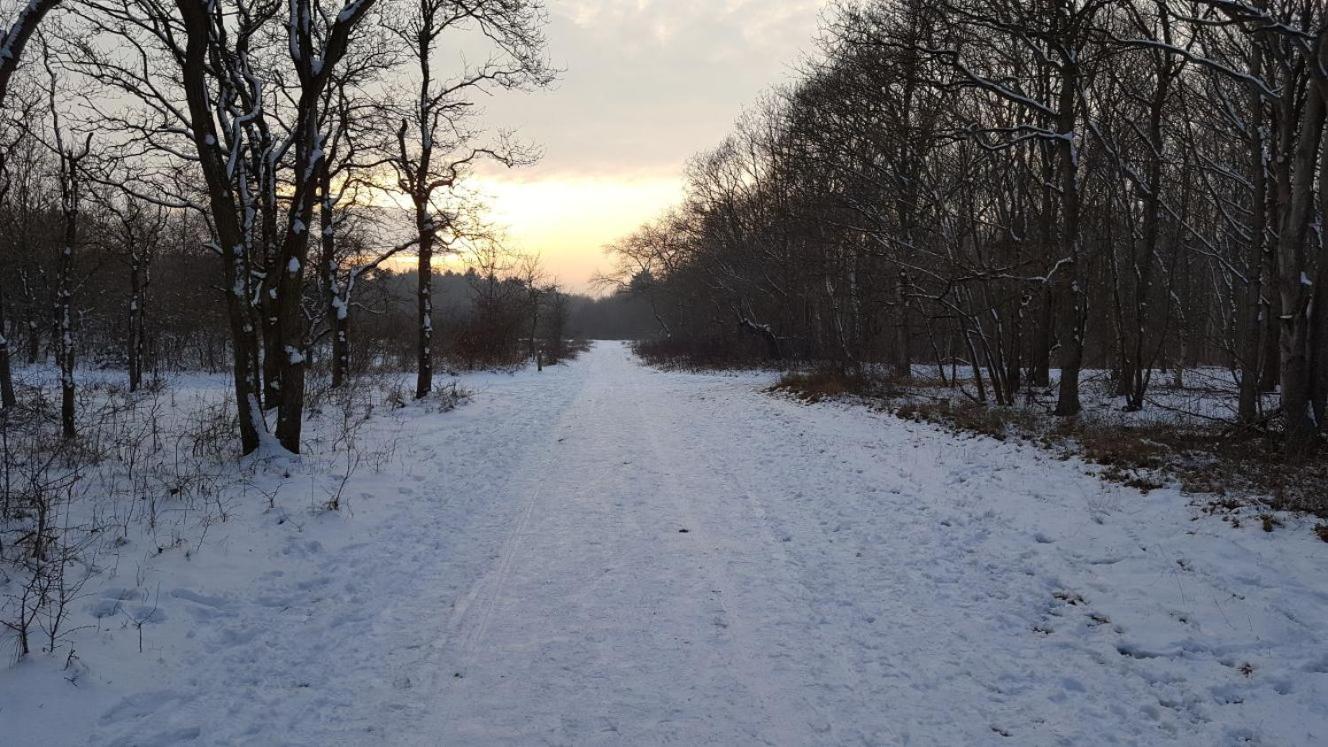 Vrijstaande blokhut, photo 21