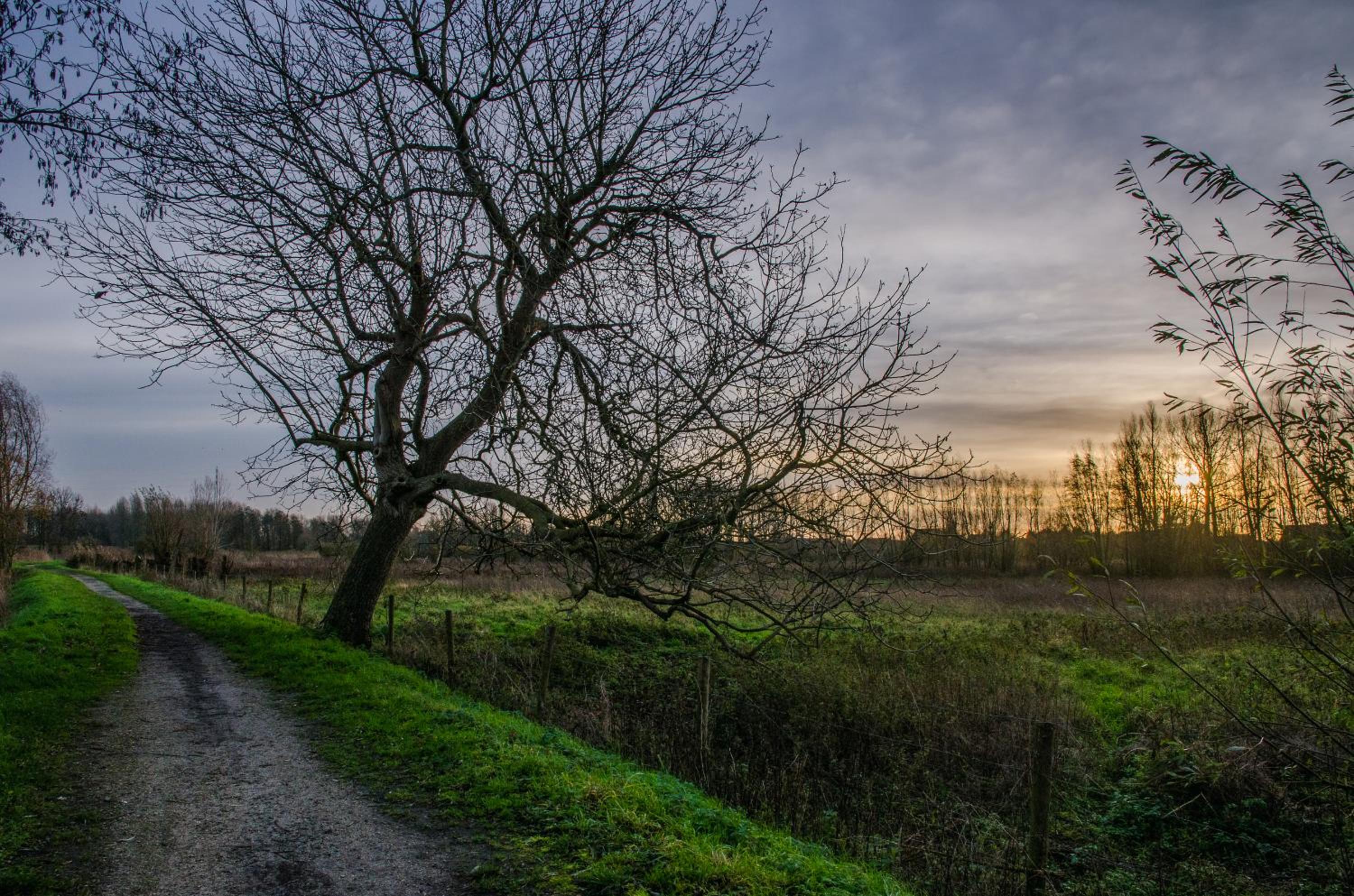 De Koolputten