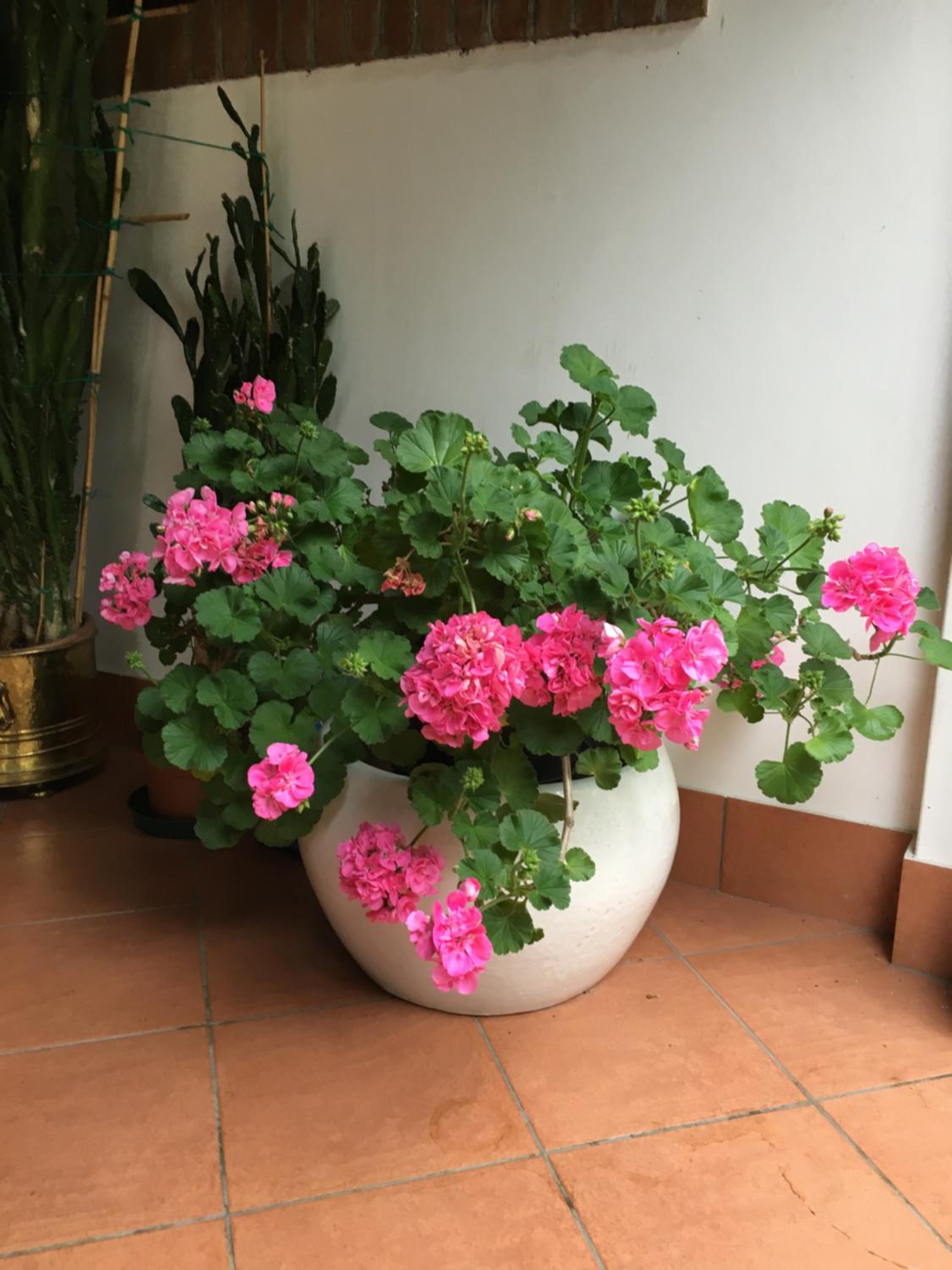 Agriturismo Da Ninoti