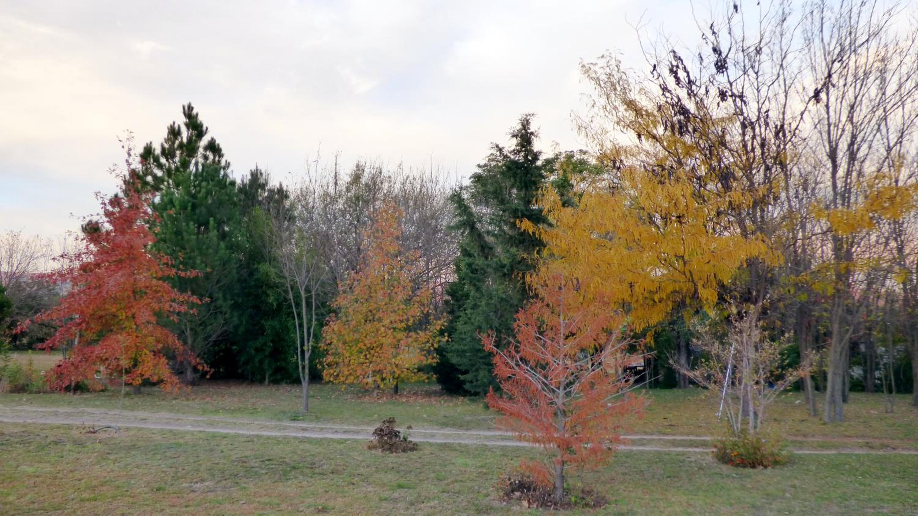 El Caserio Casas de Campo