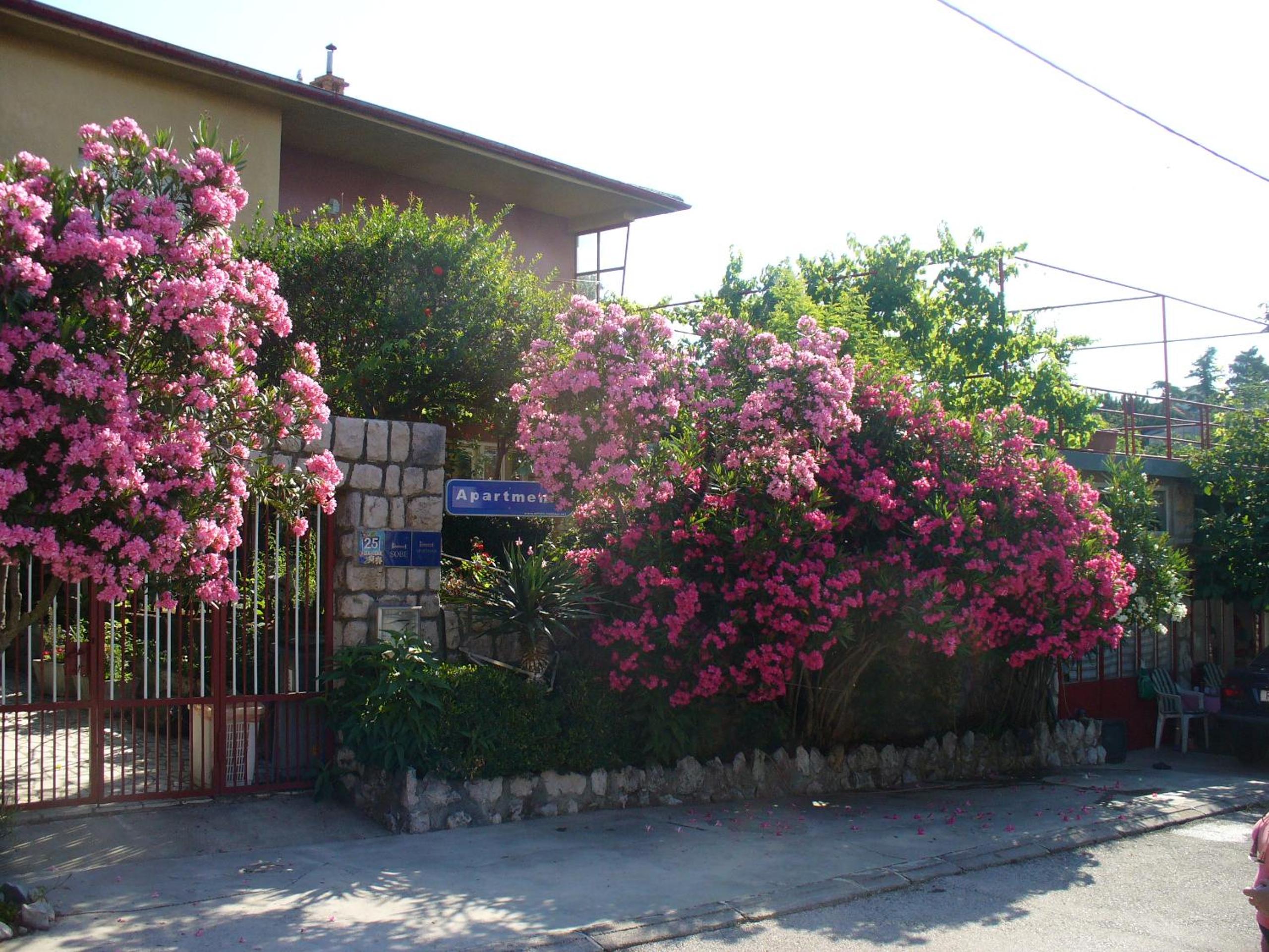 Apartments Maricic 200 meters from the Beach view 5