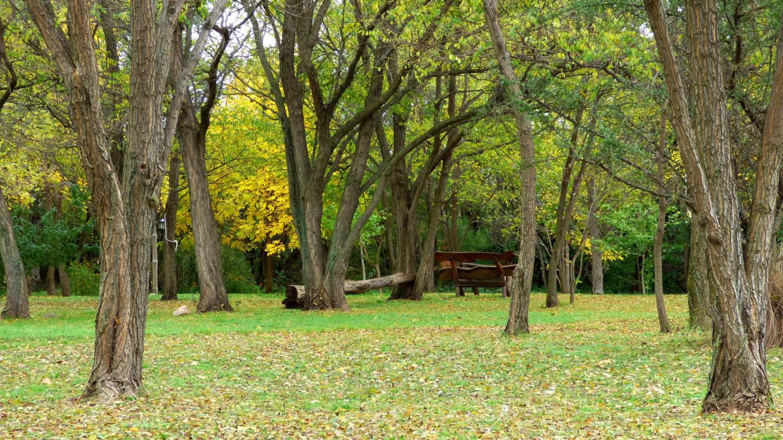 El Caserio Casas de Campo