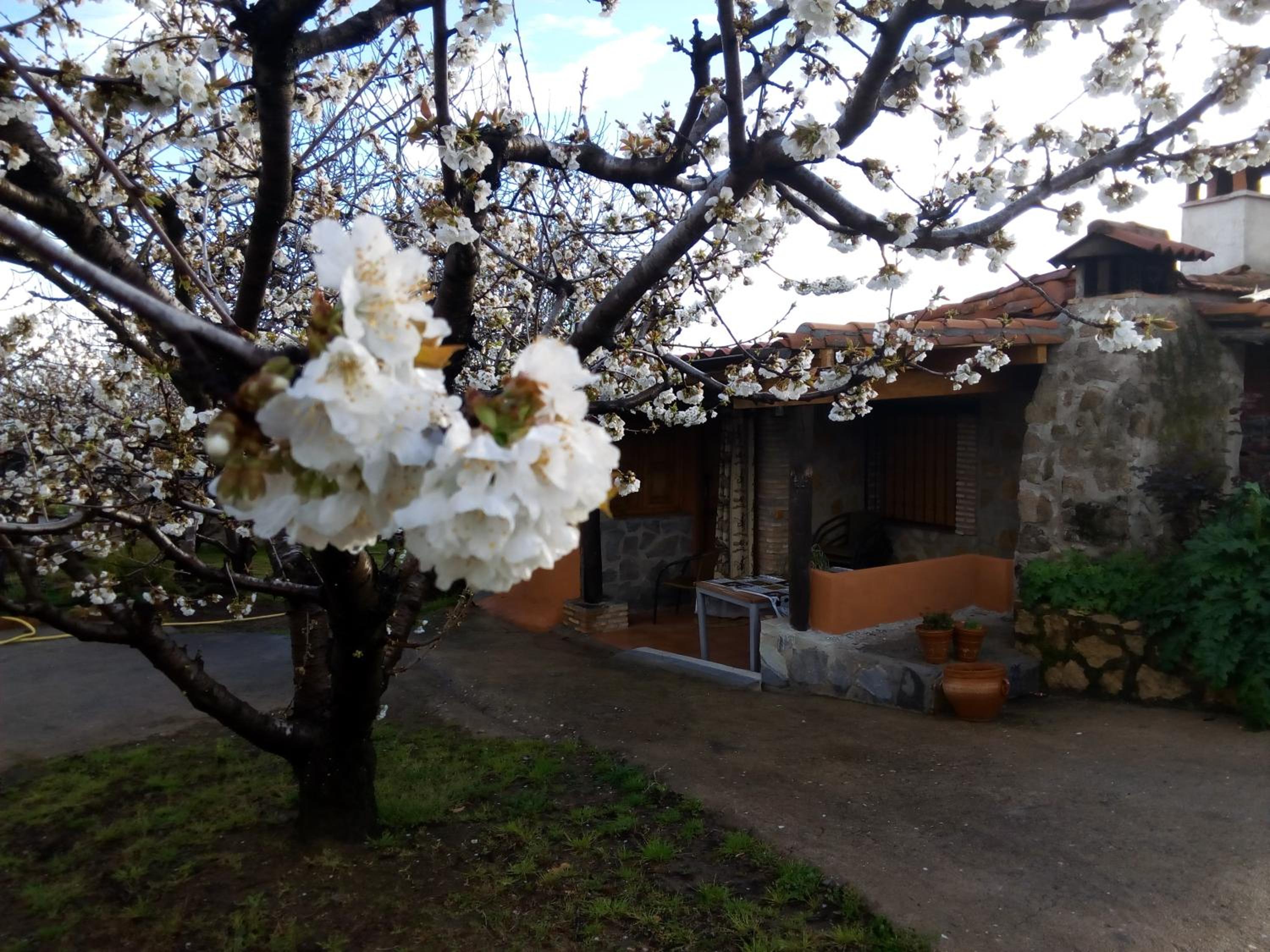 Photo 42