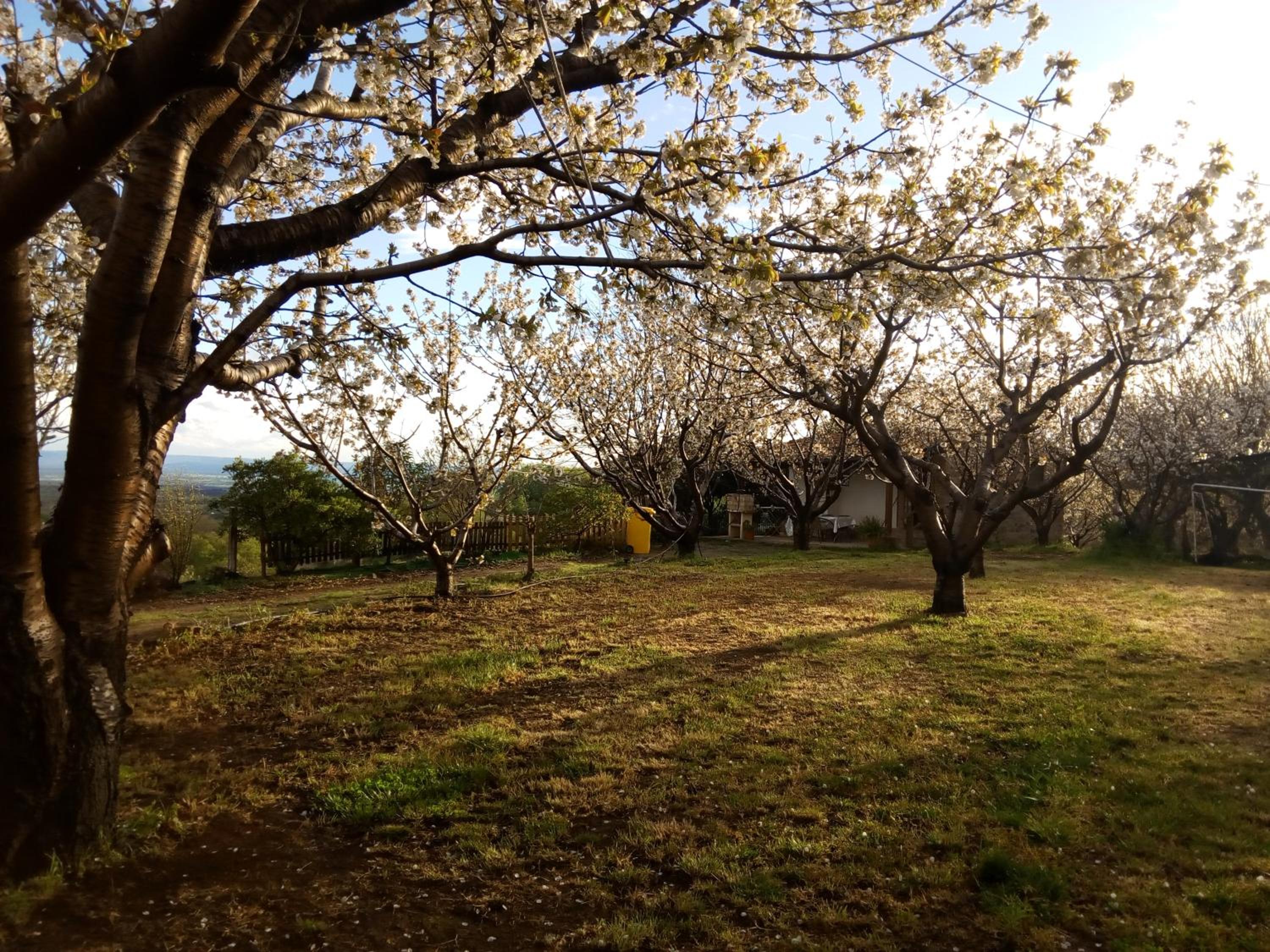 Photo 44