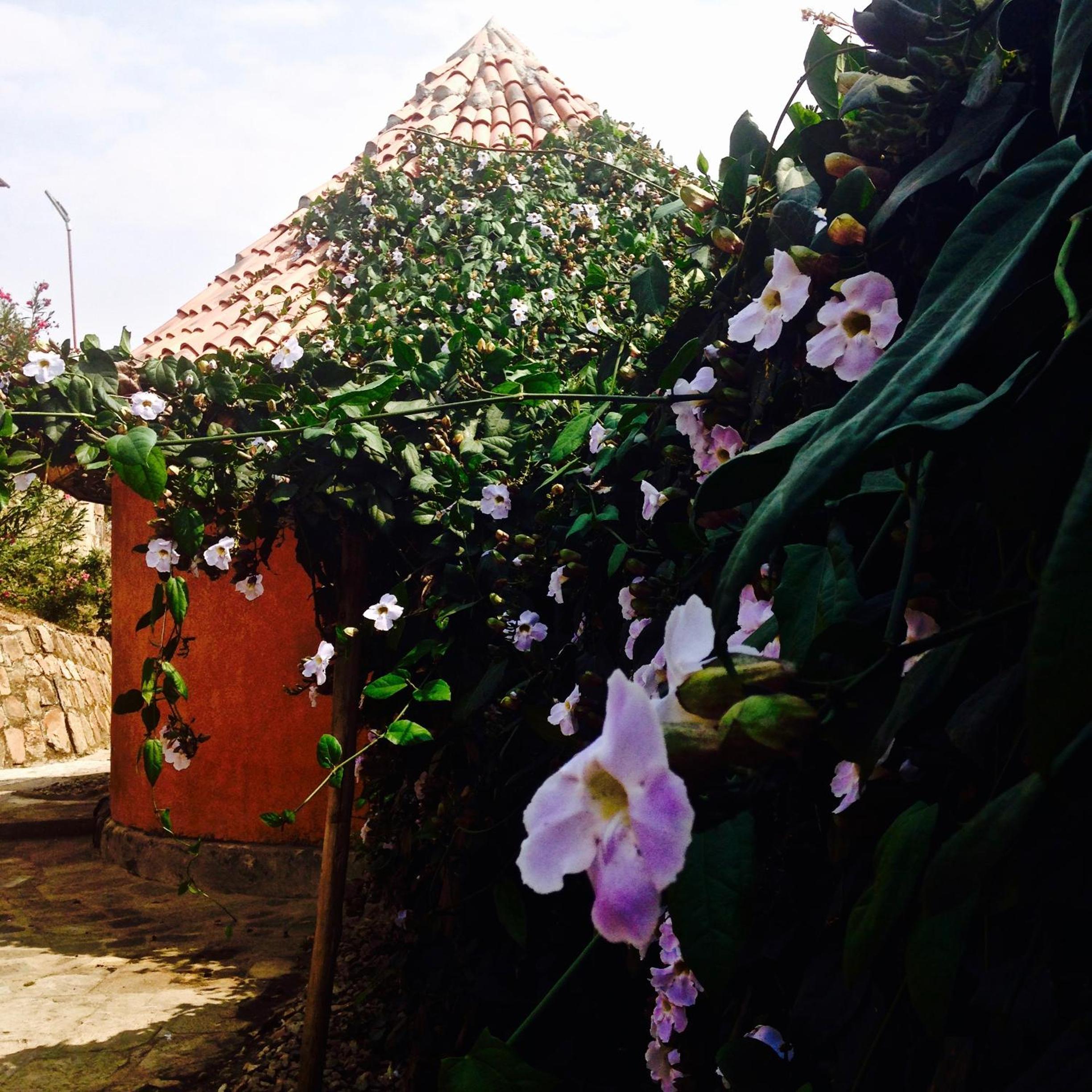 Rwiza Village