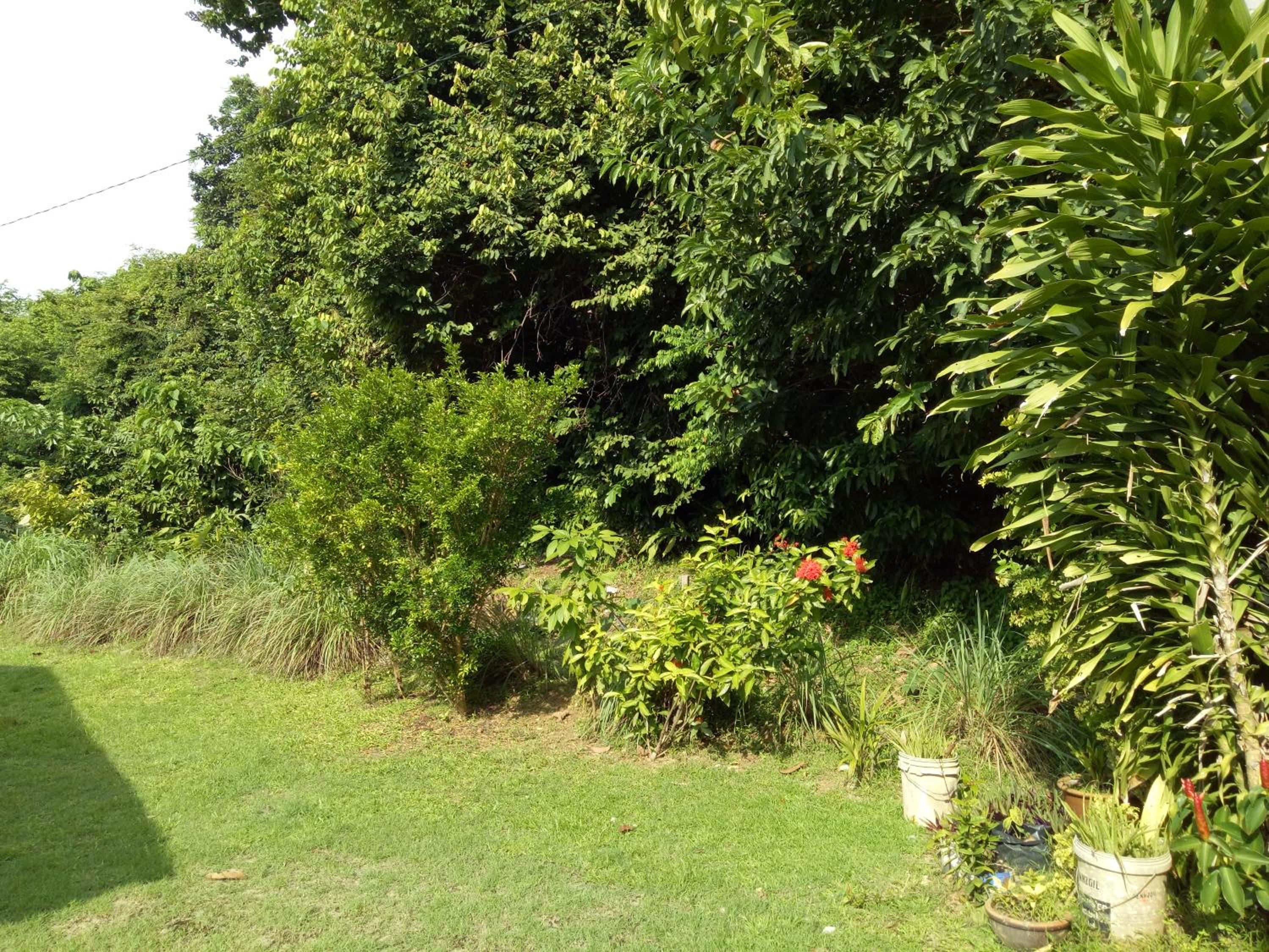 Nas Villaria Langkawi