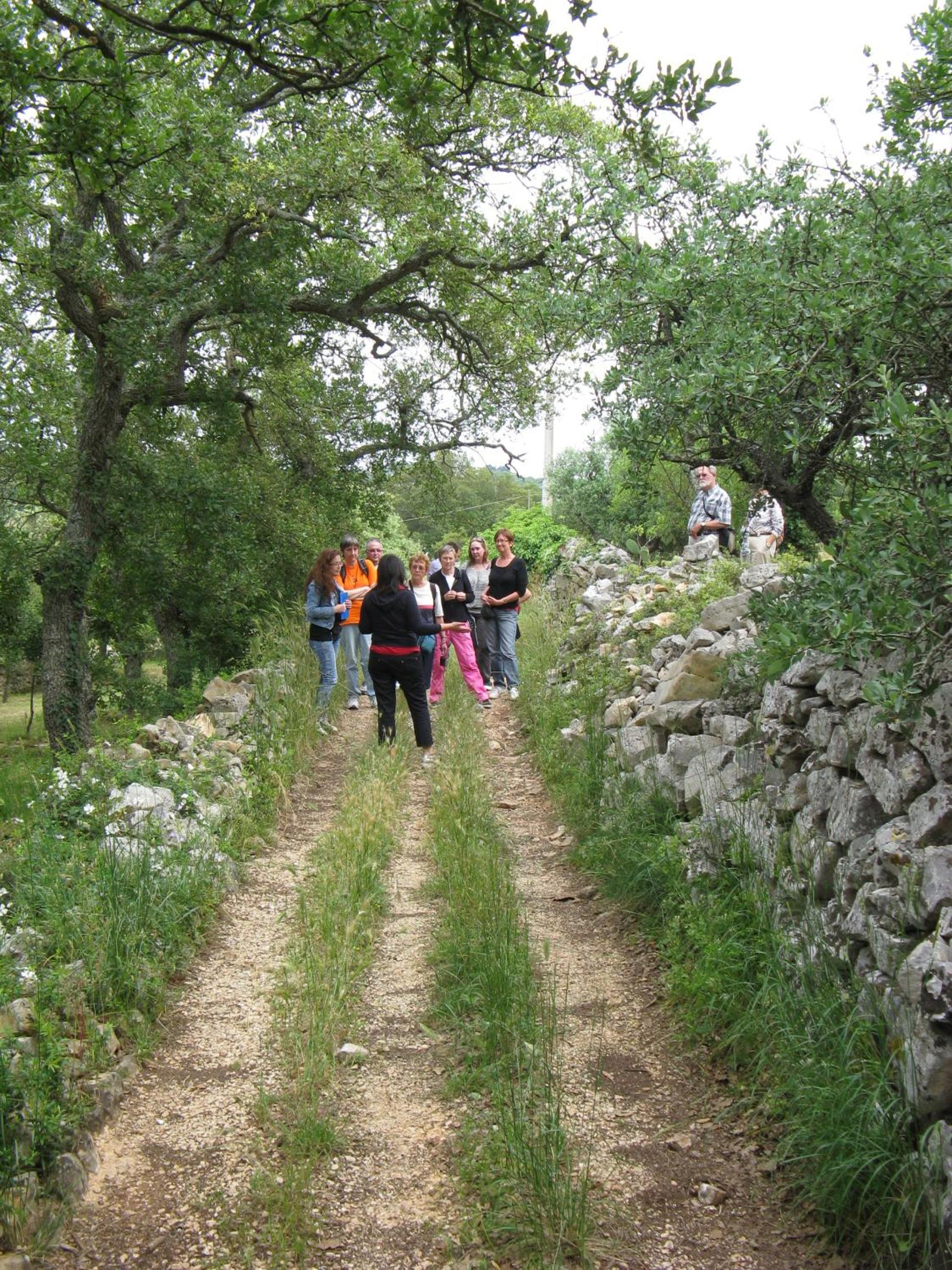 Photo 45