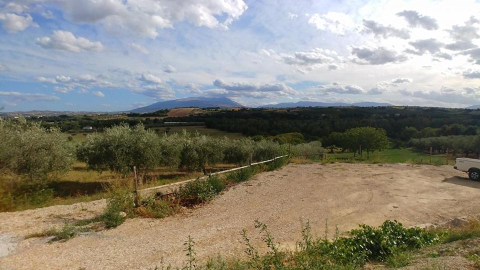 Casale del Sole
