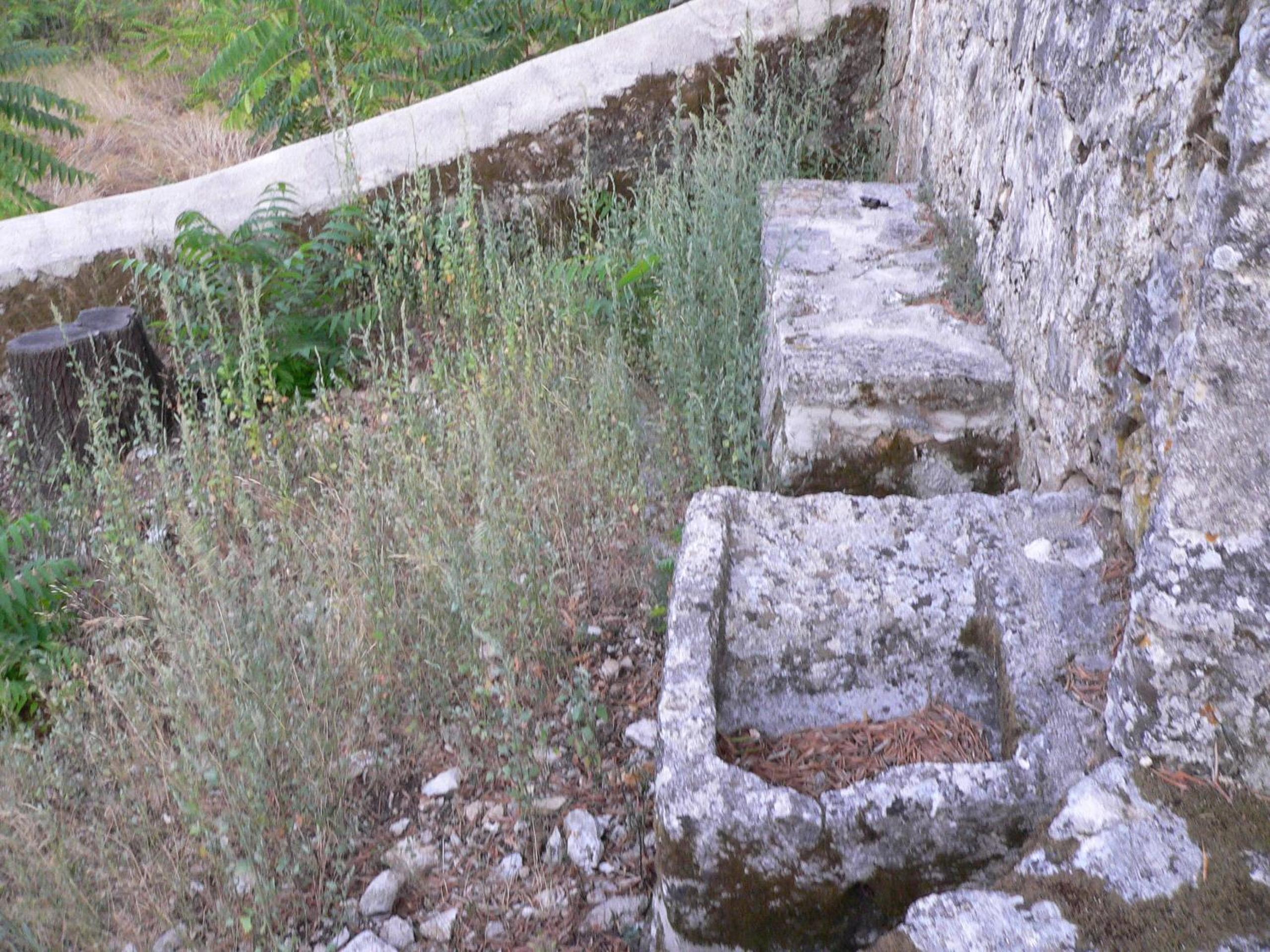 Photo 32