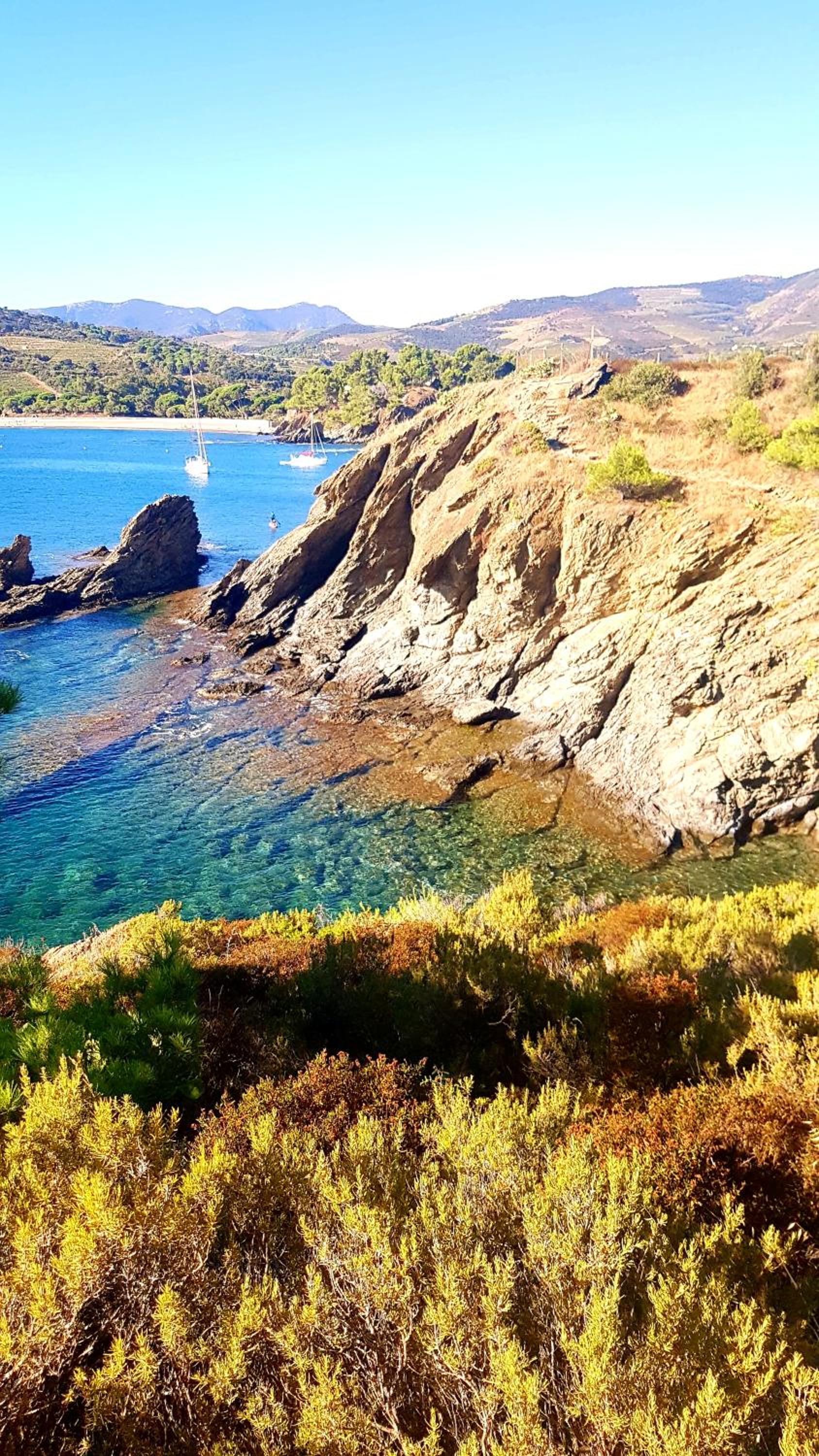 Studio "Les Roches blanches" - Vue mer & Vignes, photo 3