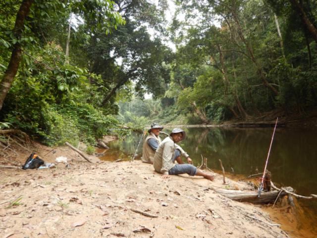 Taman Negara River View Lodge