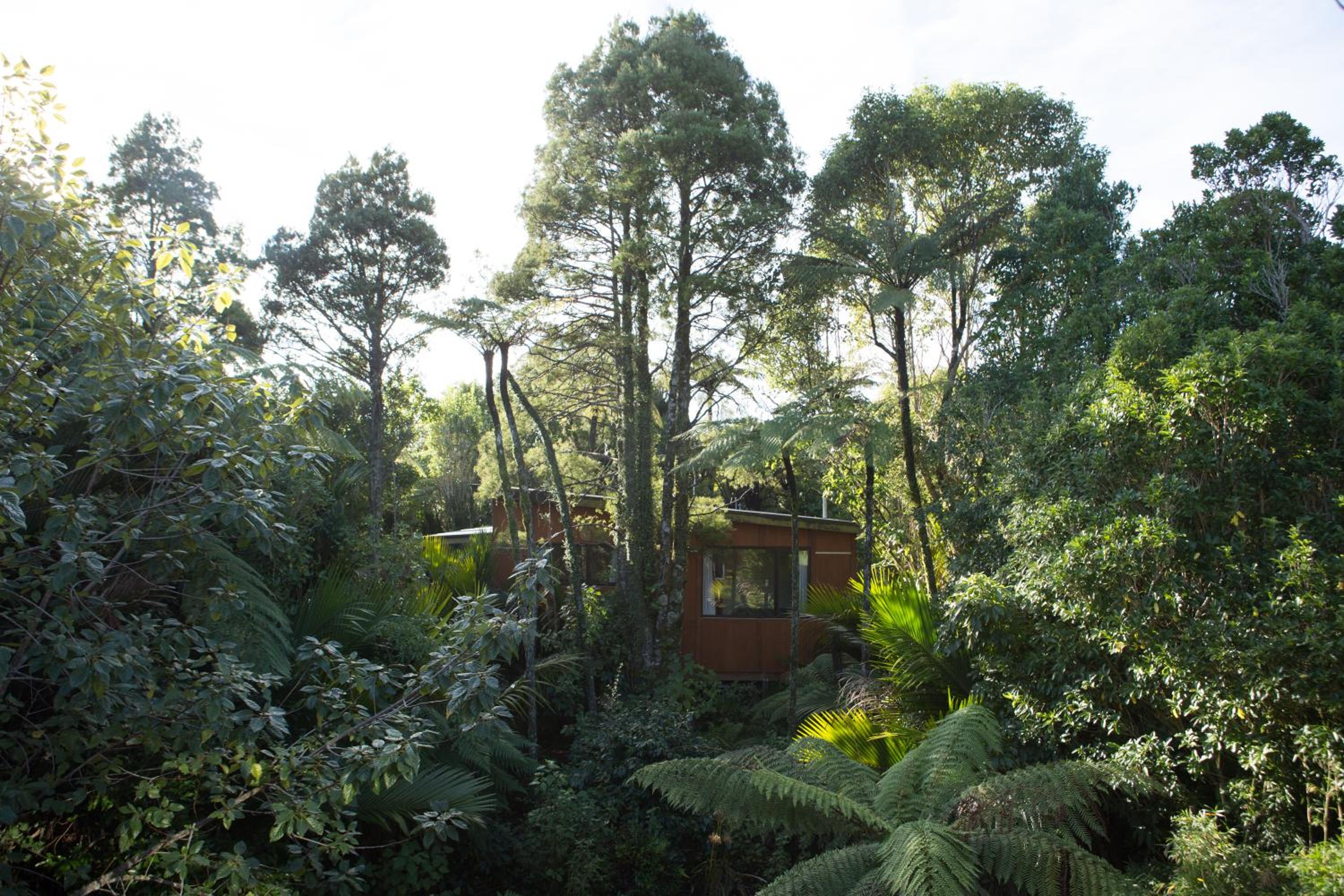 Te Nikau Retreat